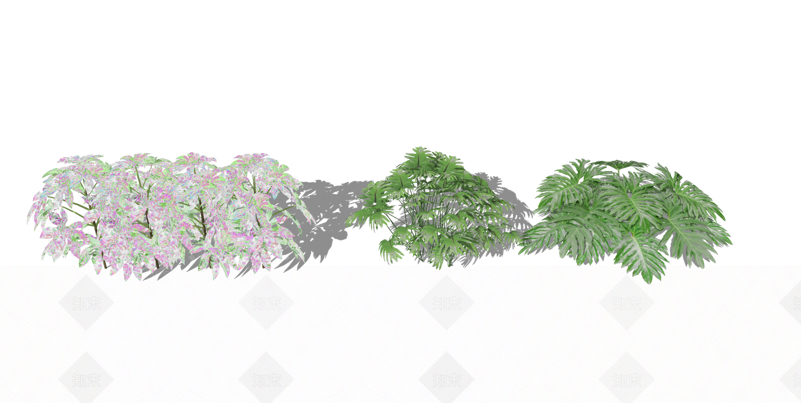 八角金盘SU模型下载【ID:1154226703】