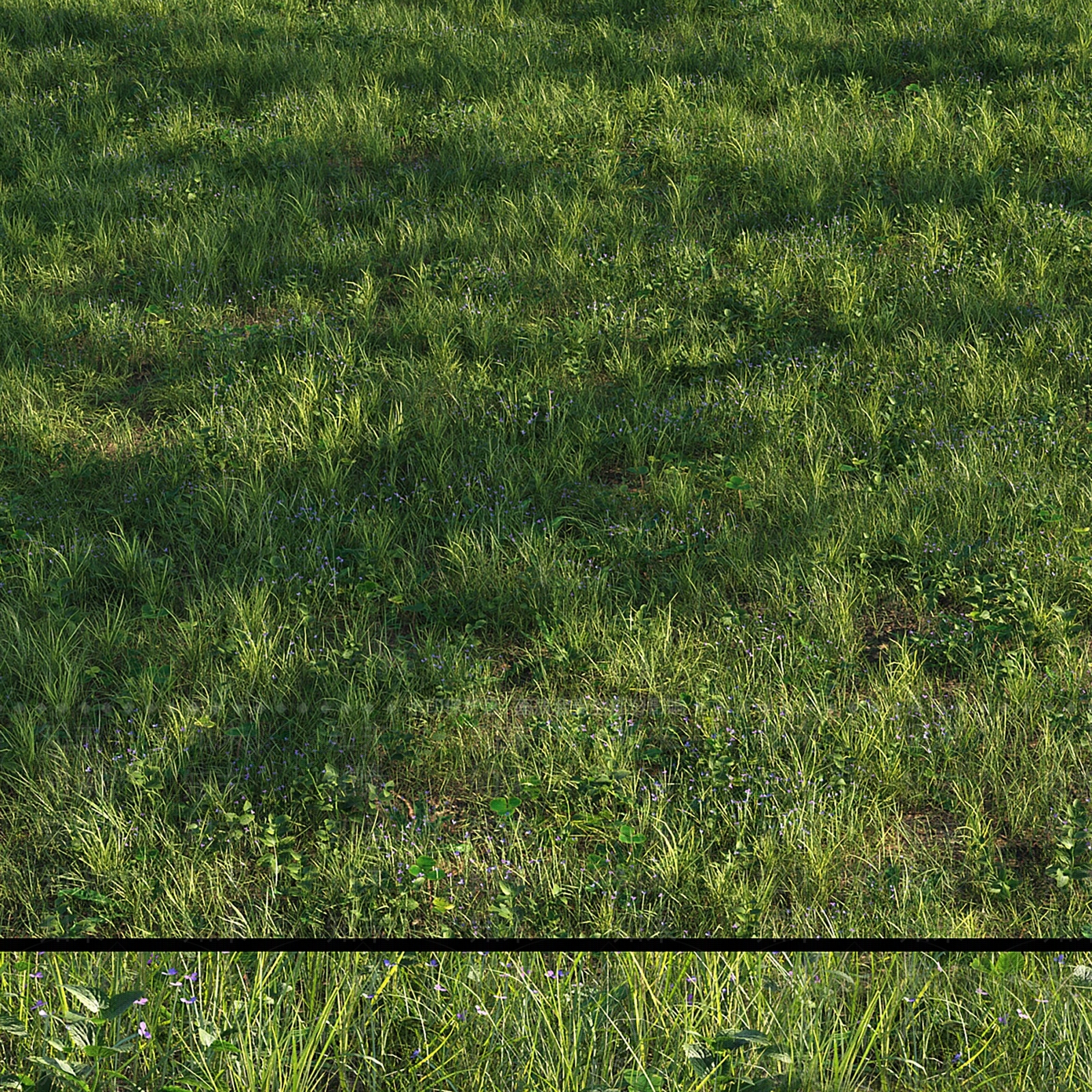 草地3D模型下载【ID:1154256120】