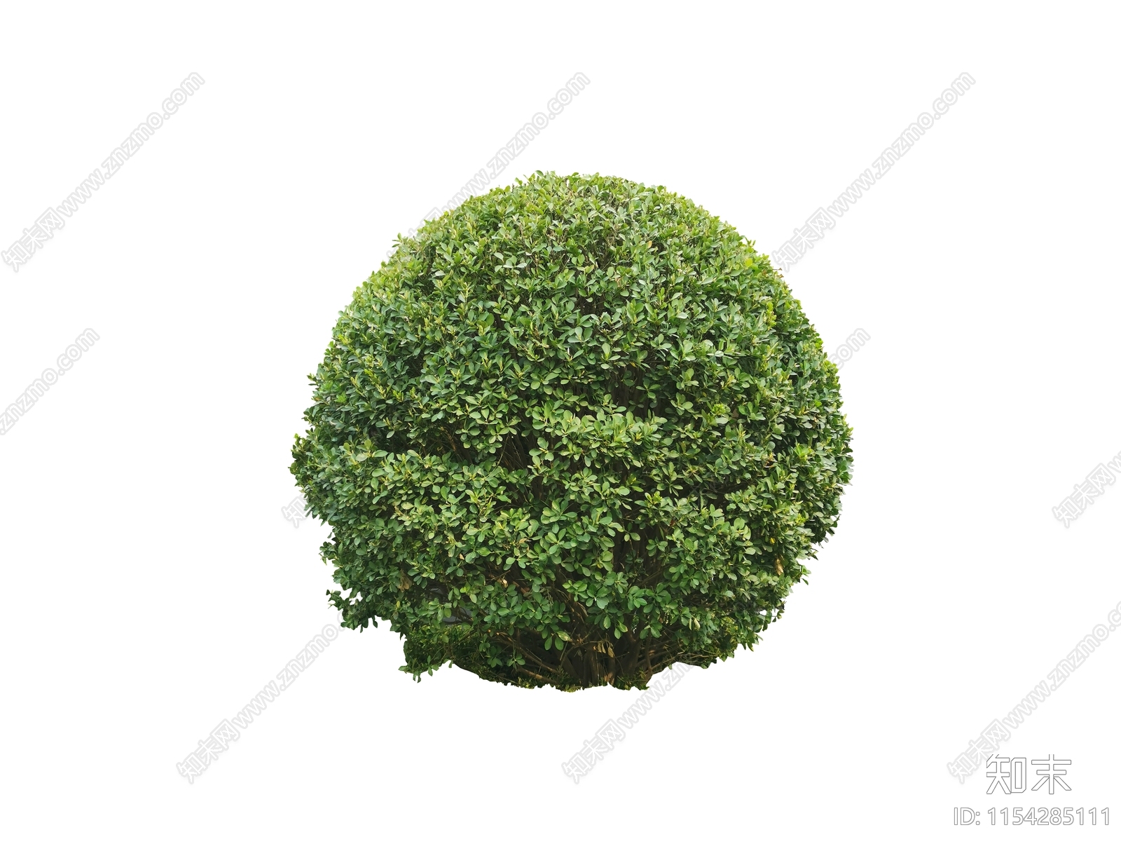 灌木设计素材精品下载_知末网