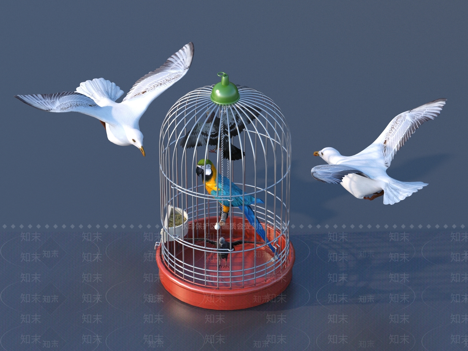 鹦鹉3D模型下载【ID:1154307677】
