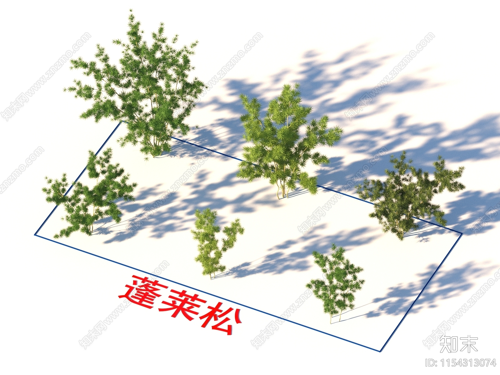 蓬莱松3D模型下载【ID:1154313074】