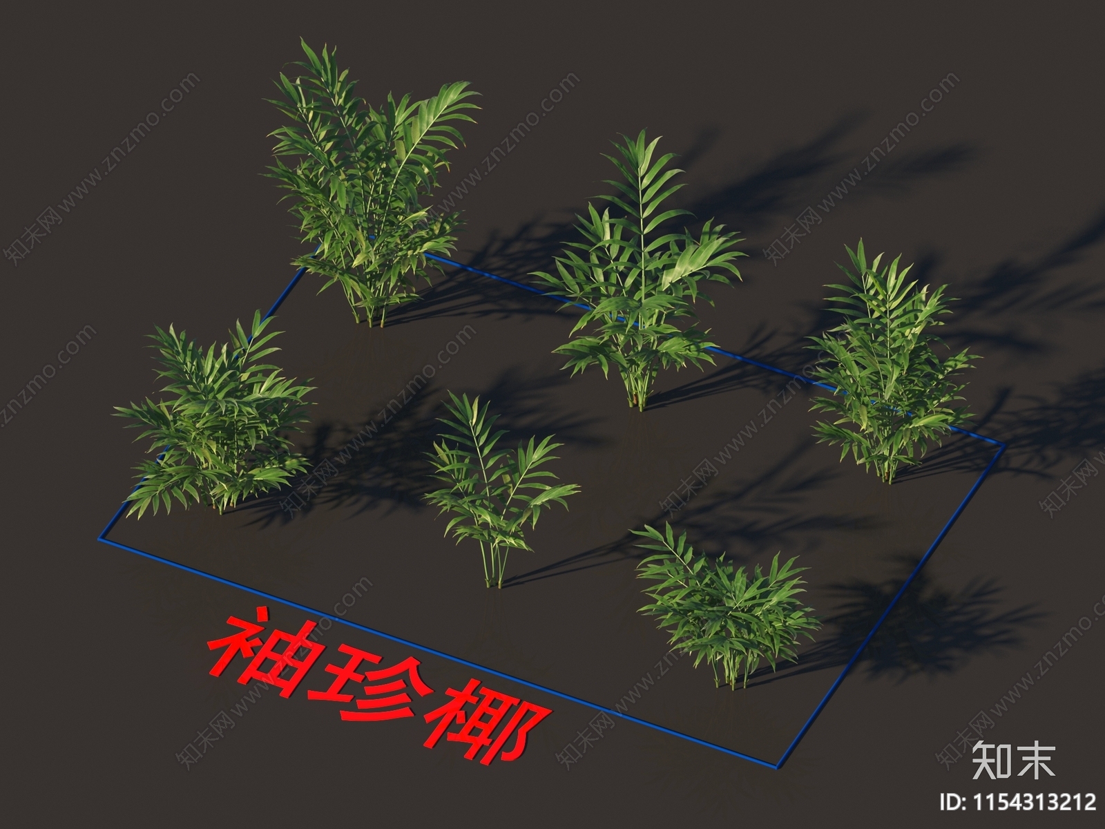 袖珍椰3D模型下载【ID:1154313212】