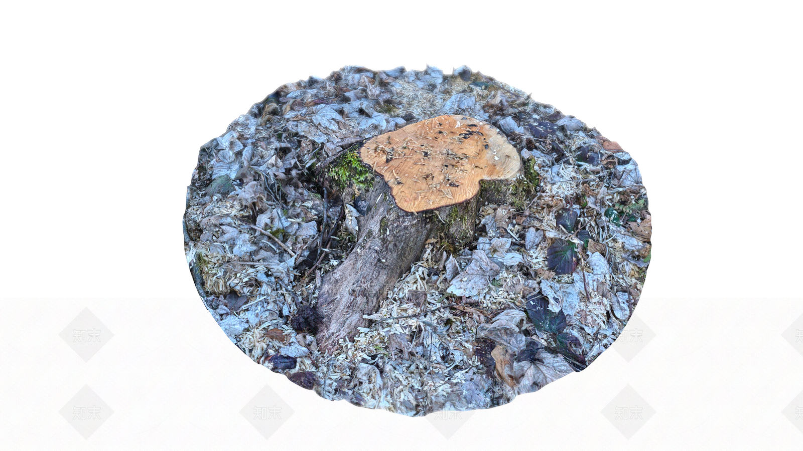 树桩3D模型下载【ID:1154344497】
