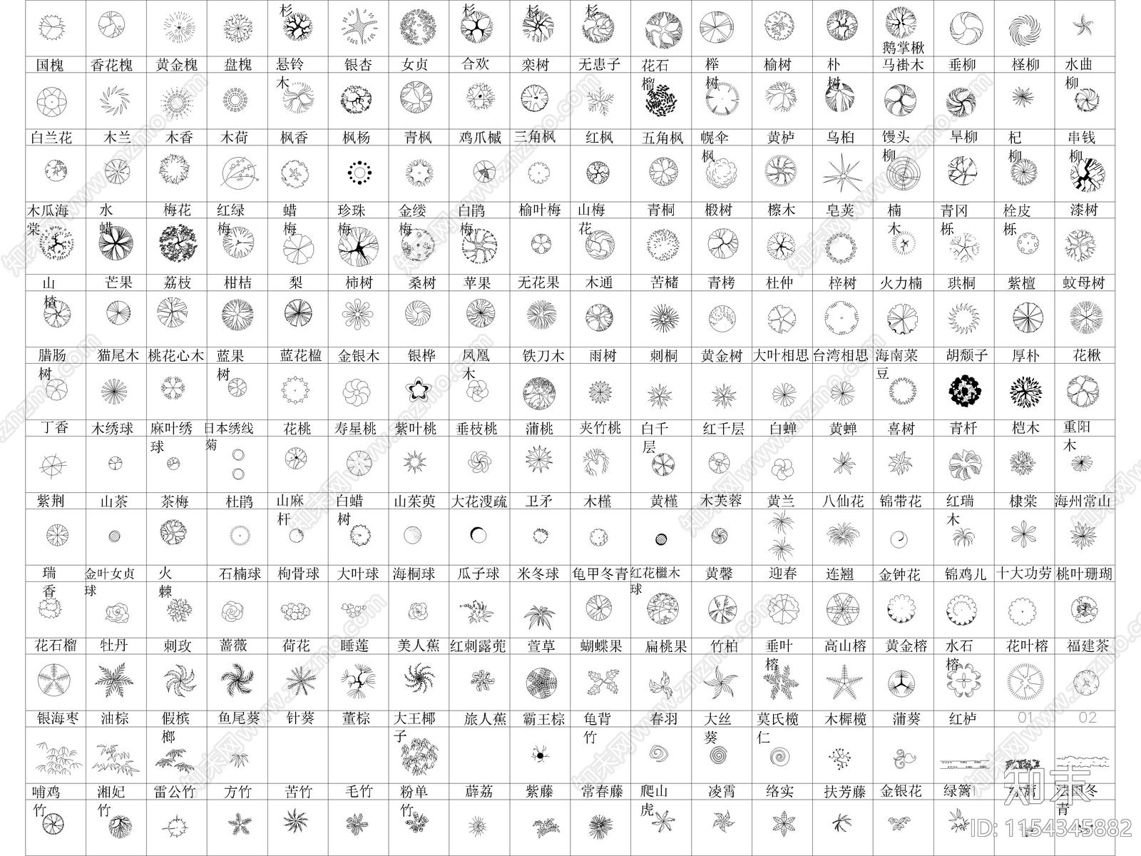 景观植物平立面施工图下载【ID:1154345882】