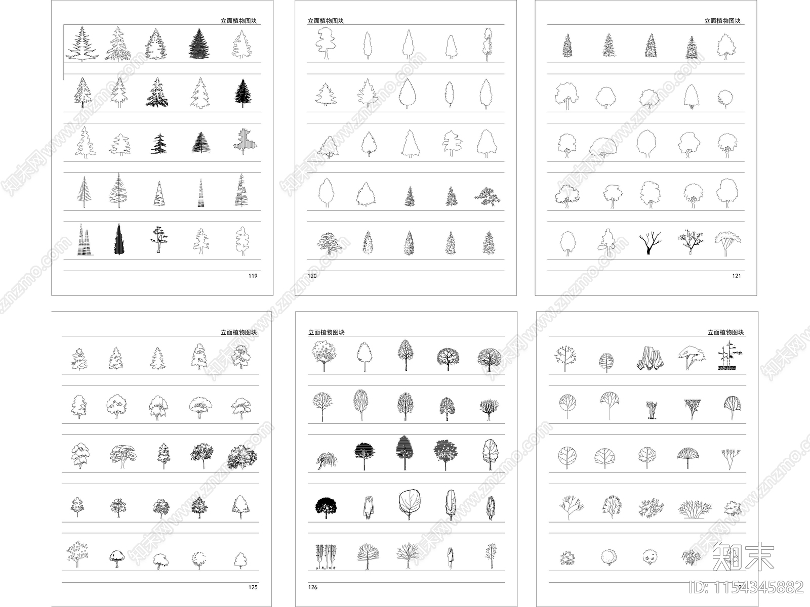 景观植物平立面施工图下载【ID:1154345882】