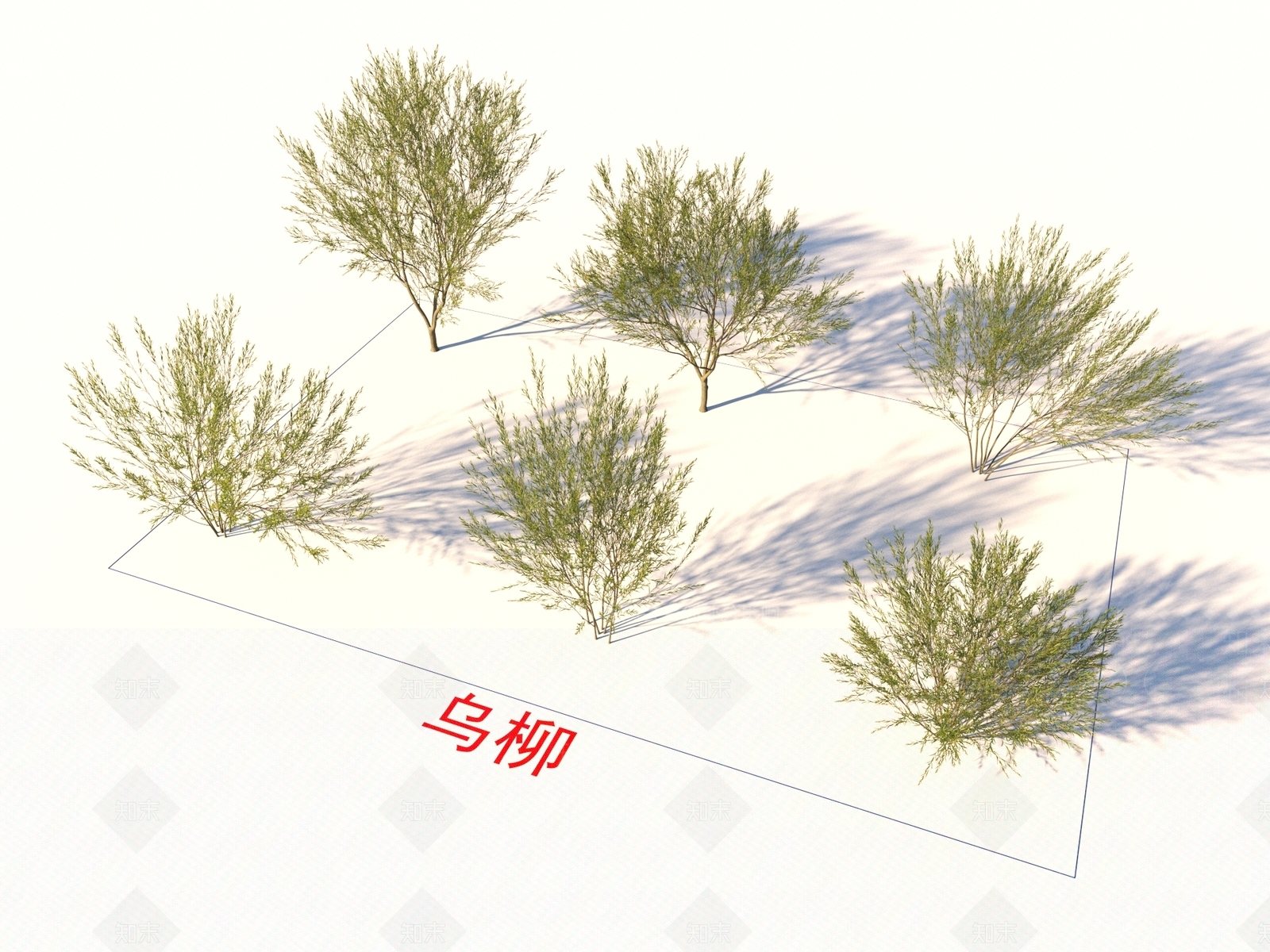 乔木3D模型下载【ID:1154352379】