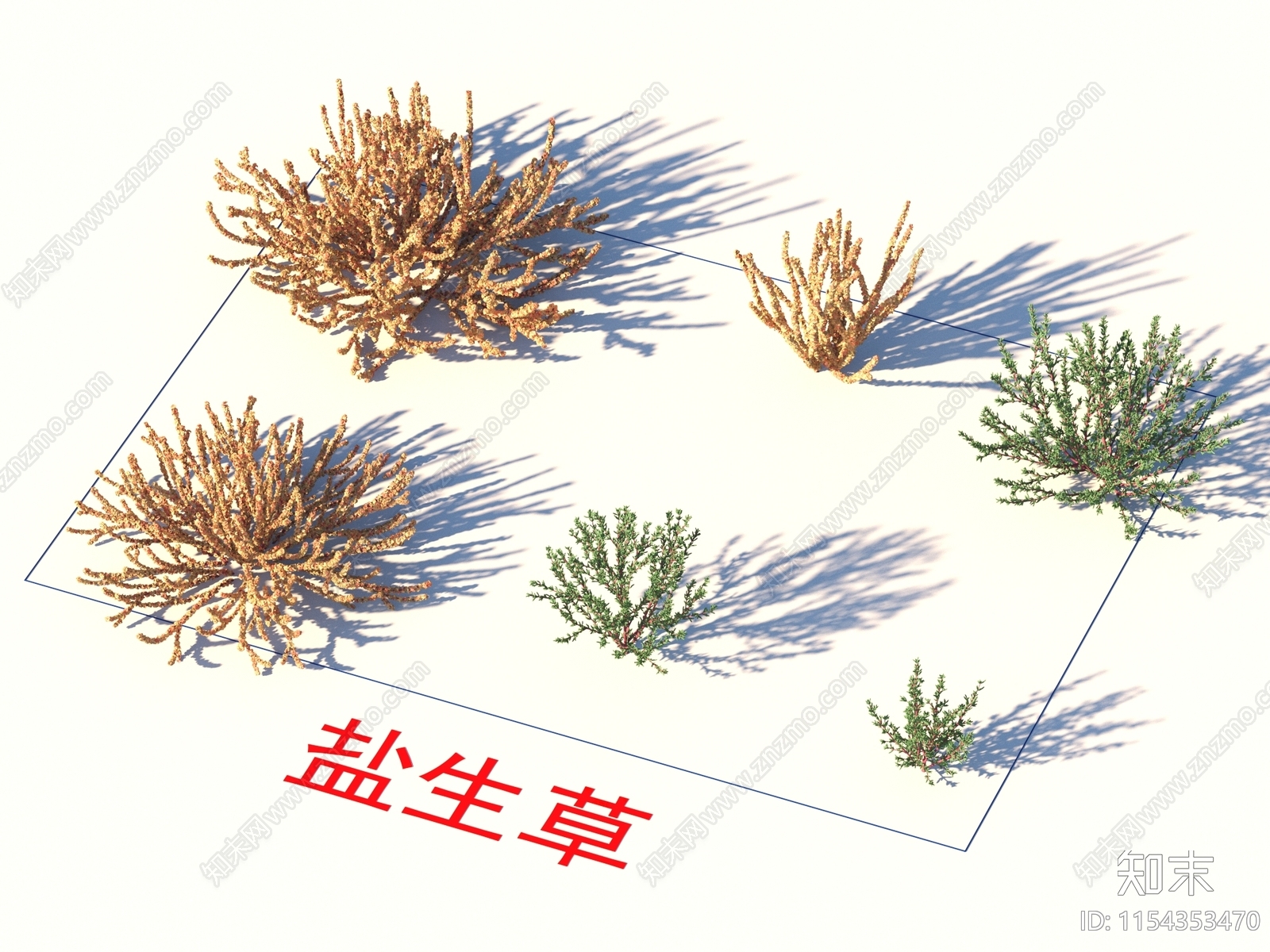 盐生草3D模型下载【ID:1154353470】