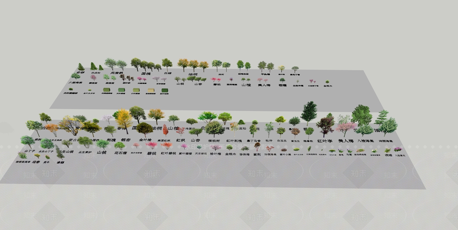 2D树木SU模型下载【ID:1154395390】