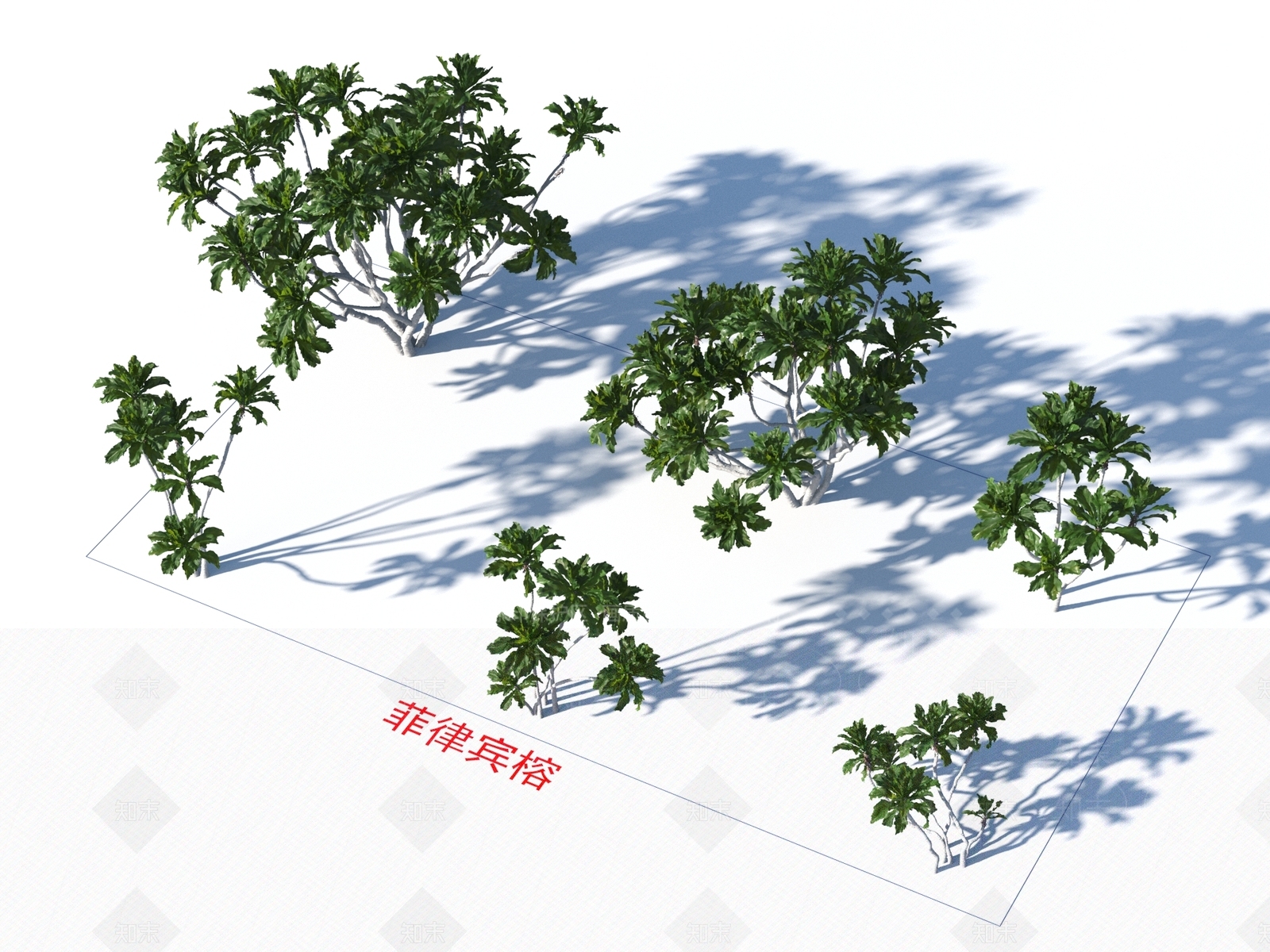 菲律宾榕3D模型下载【ID:1154416780】