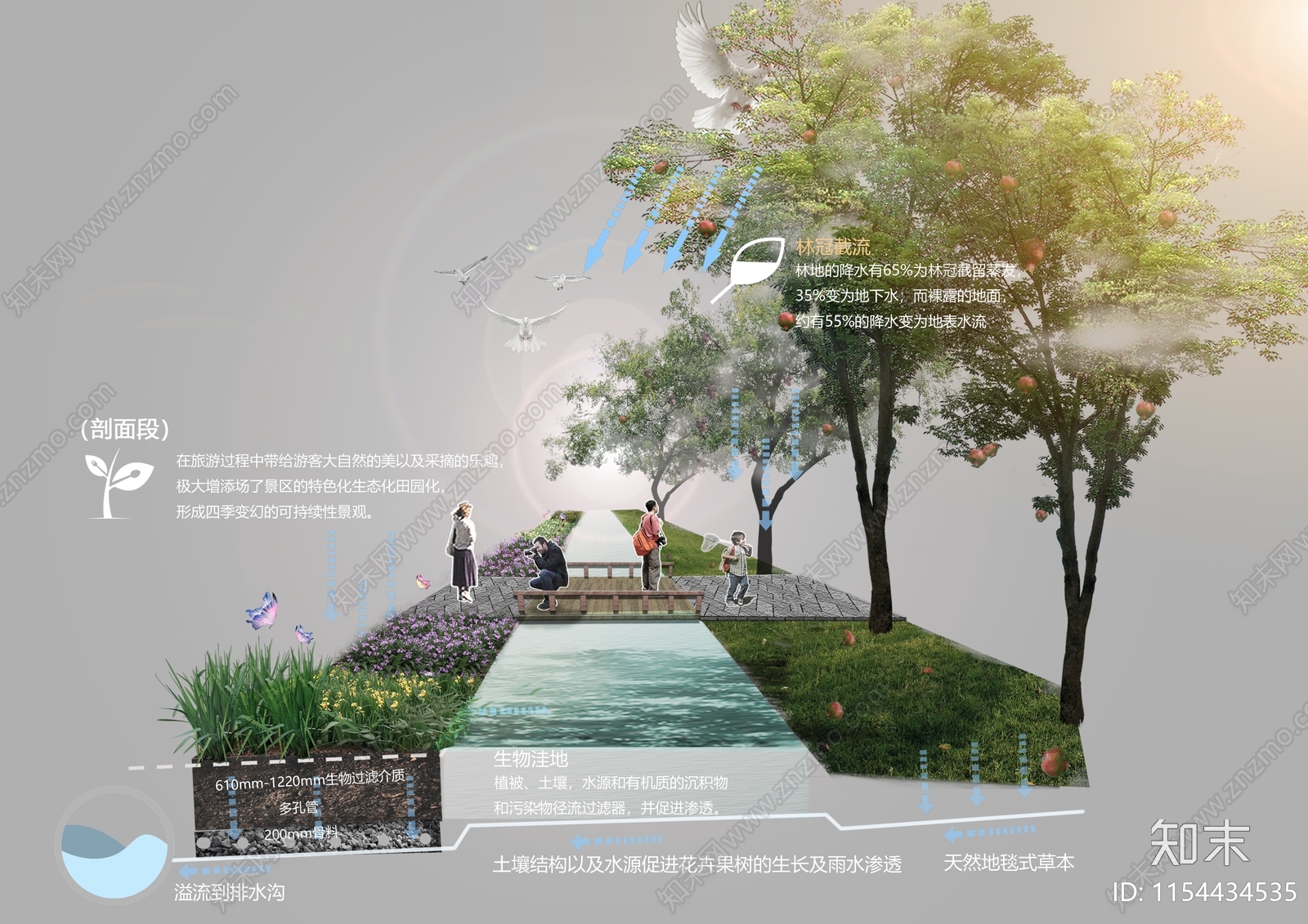 植物分析图设计素材精品下载_知末网