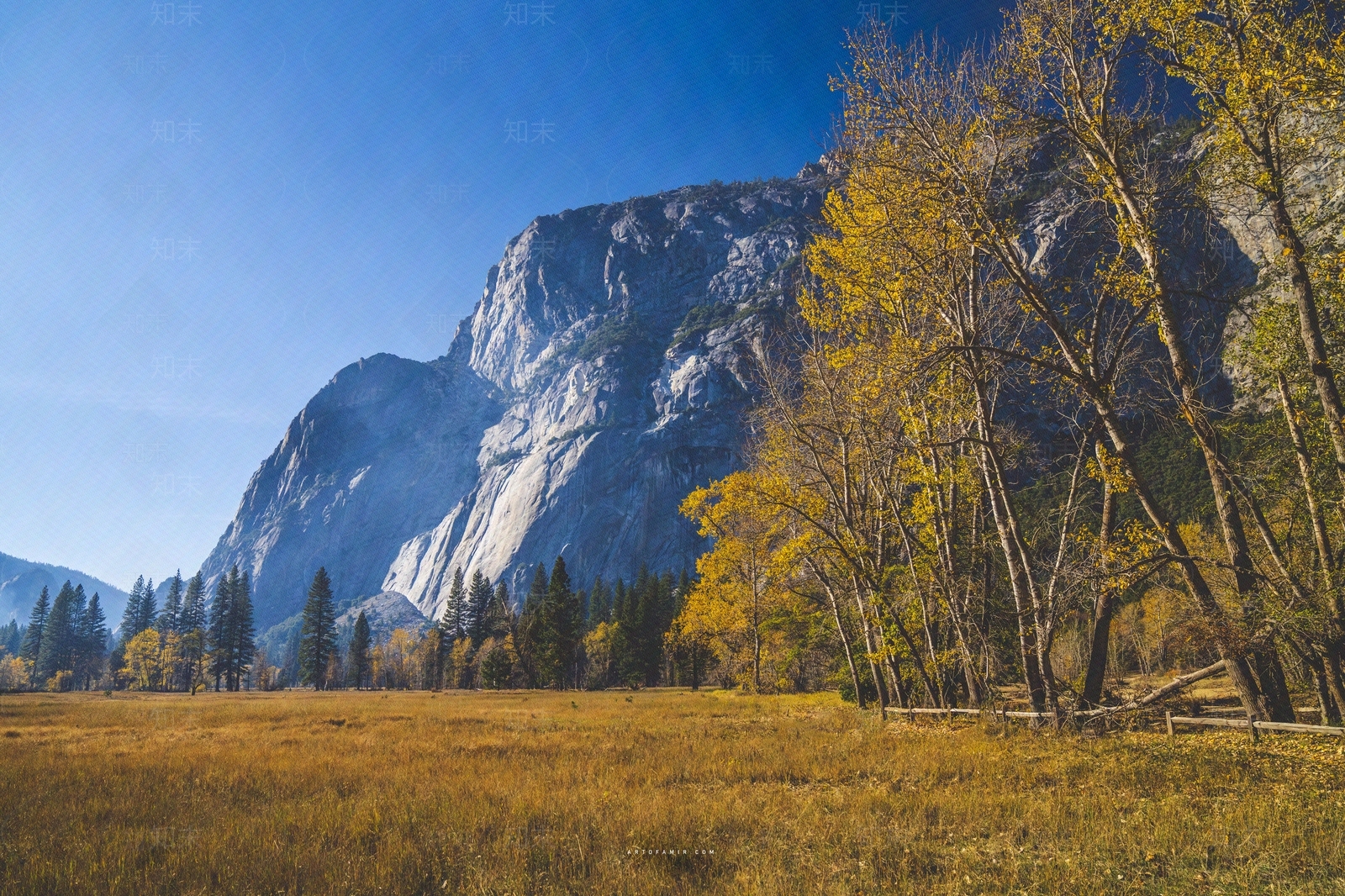 秋天森林风景贴图下载【ID:1154455274】