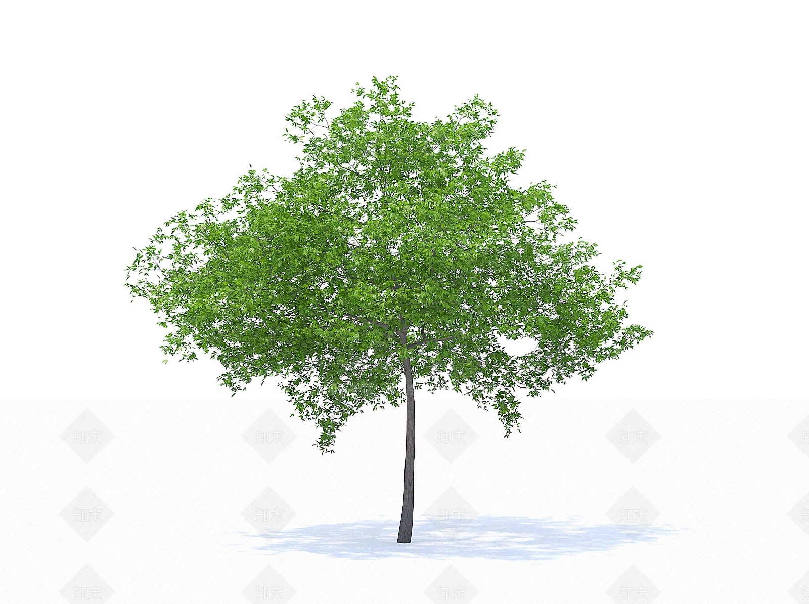 乔木3D模型下载【ID:1154461202】