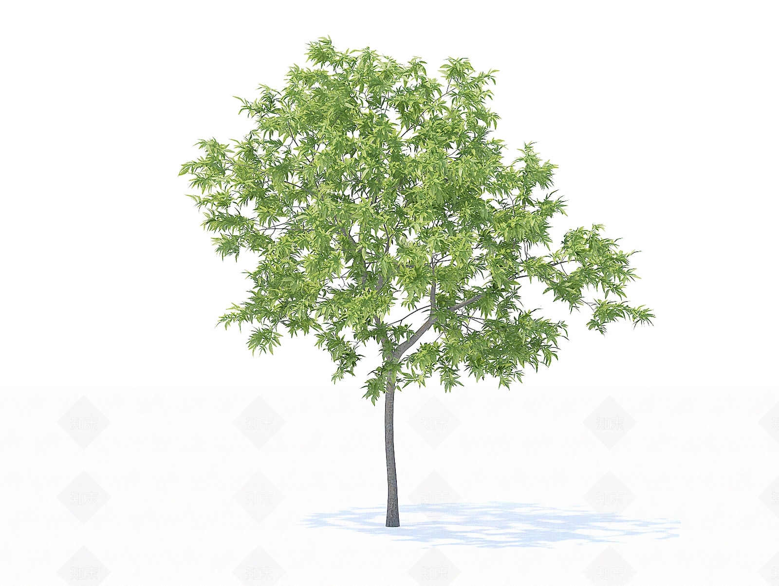 乔木3D模型下载【ID:1154462969】