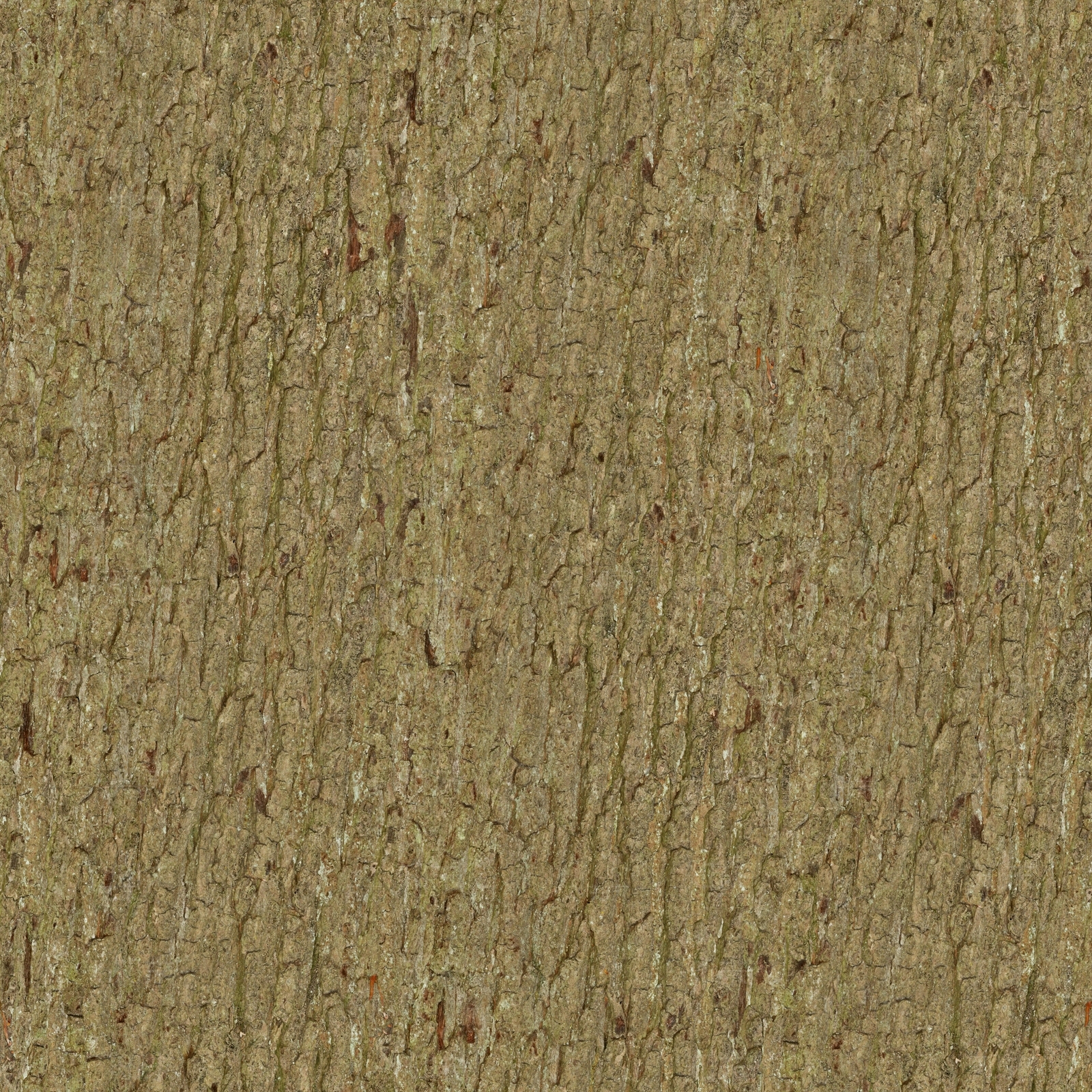 树皮棕色橡树贴图下载【ID:1154462465】