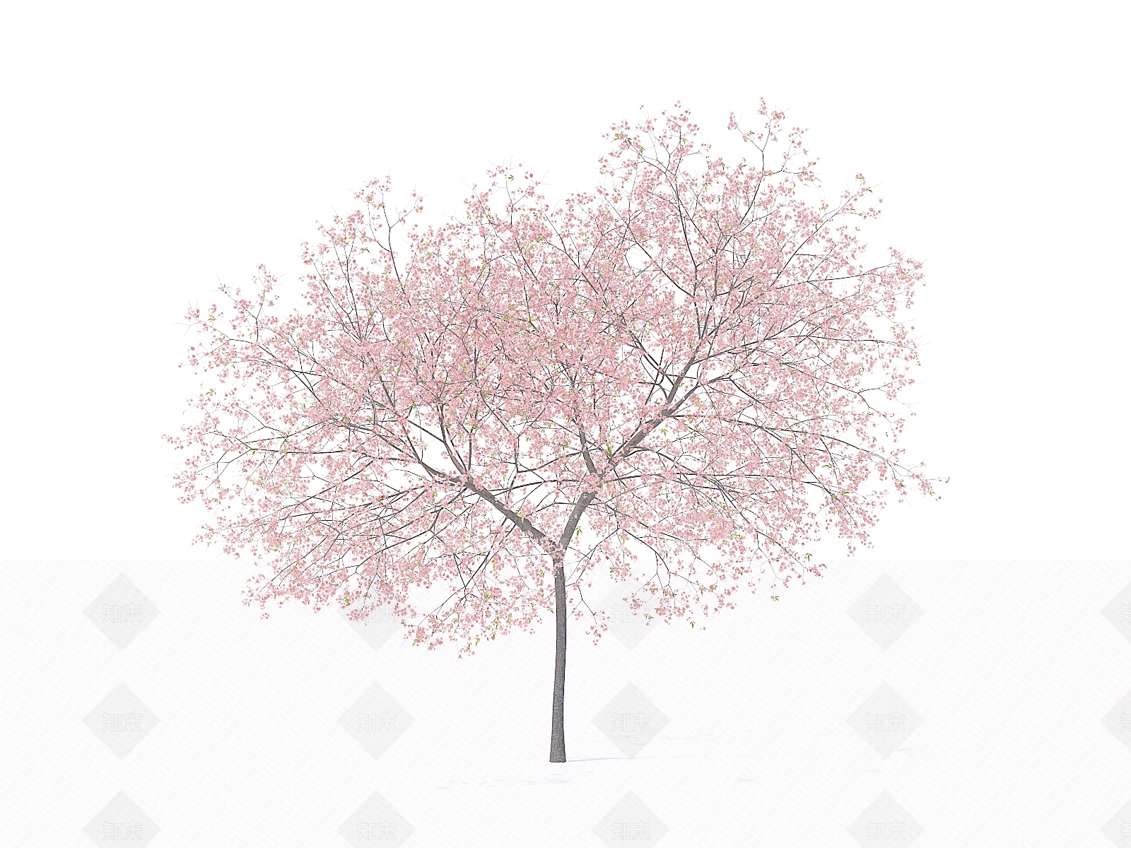 乔木3D模型下载【ID:1154469289】