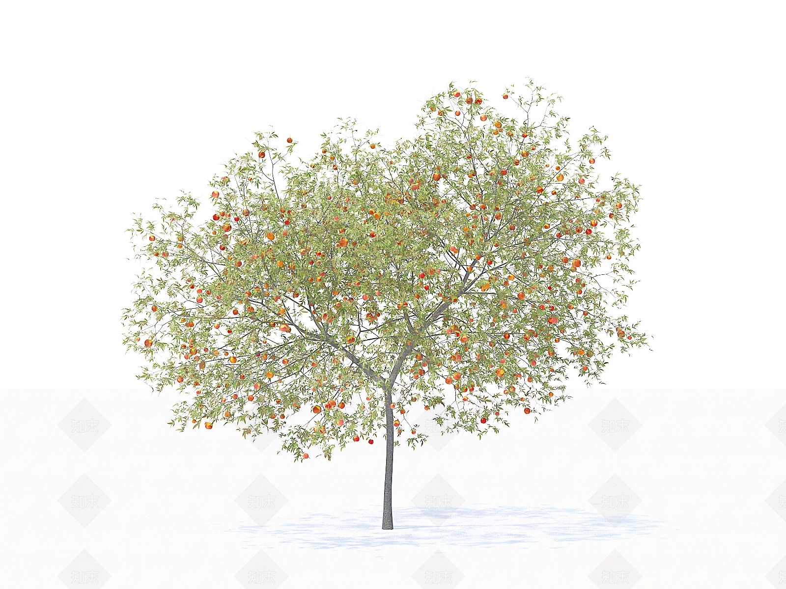 乔木3D模型下载【ID:1154469323】