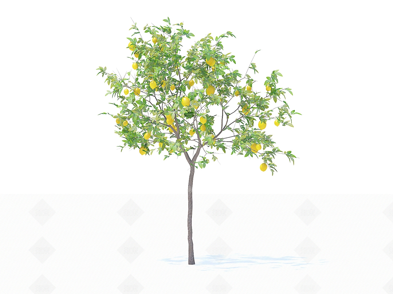 乔木3D模型下载【ID:1154469835】