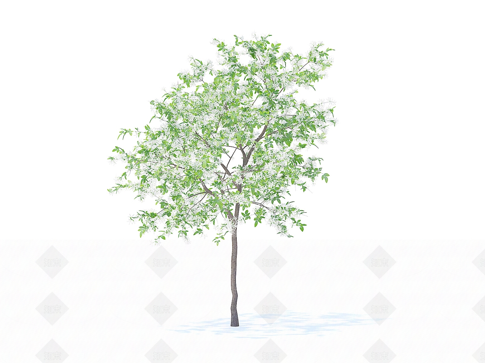 乔木3D模型下载【ID:1154469984】