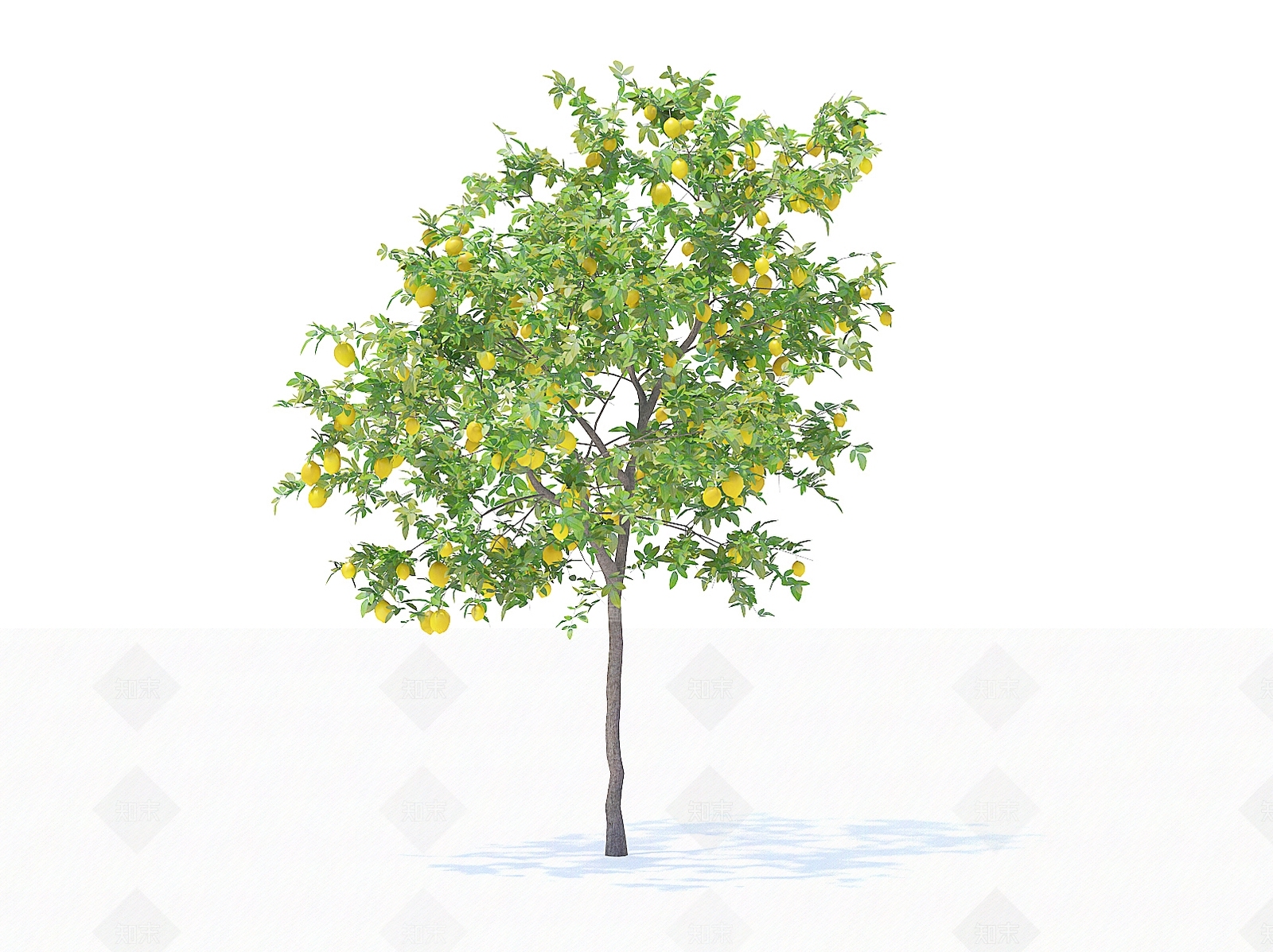 乔木3D模型下载【ID:1154469906】