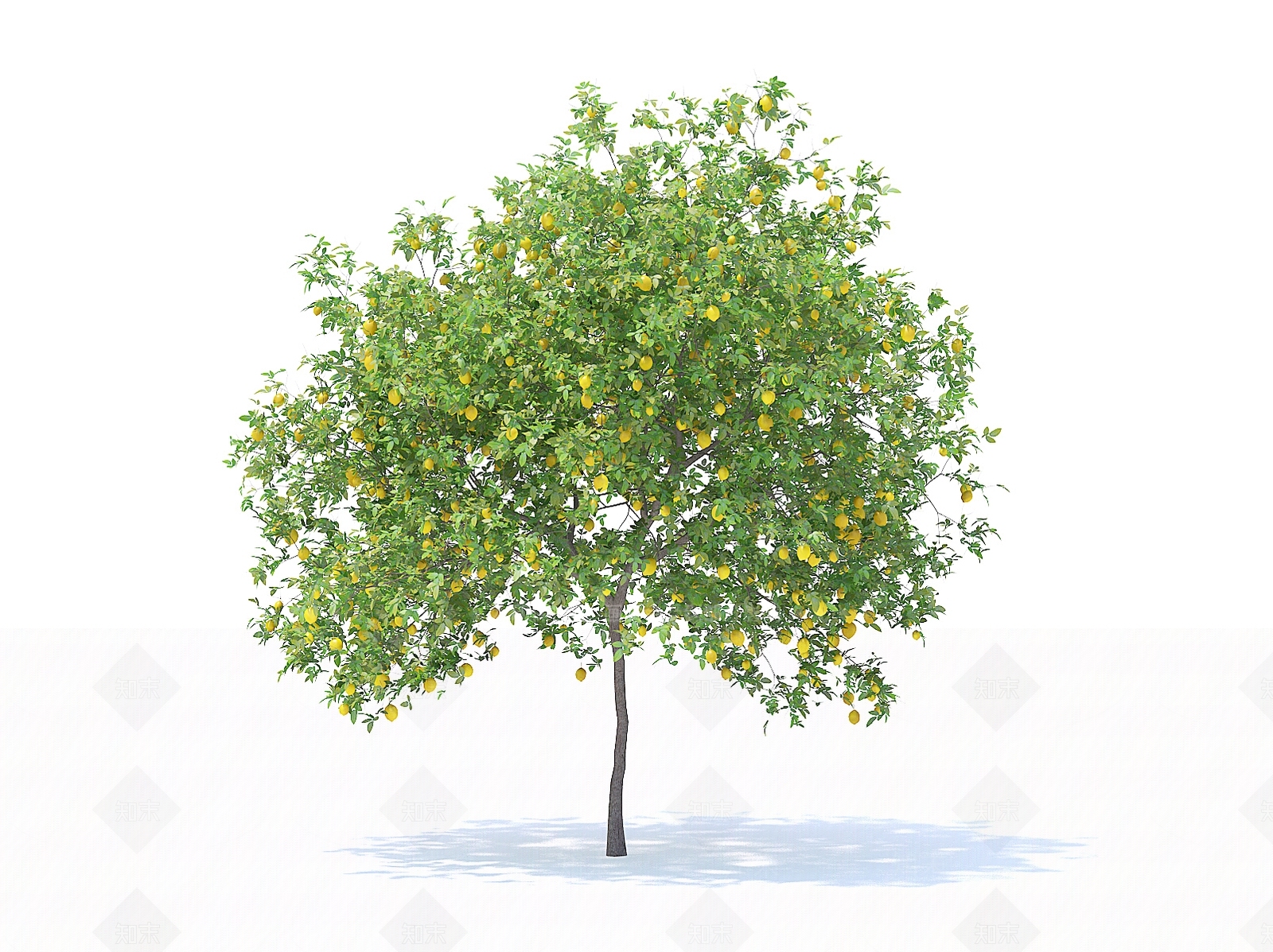 乔木3D模型下载【ID:1154470745】