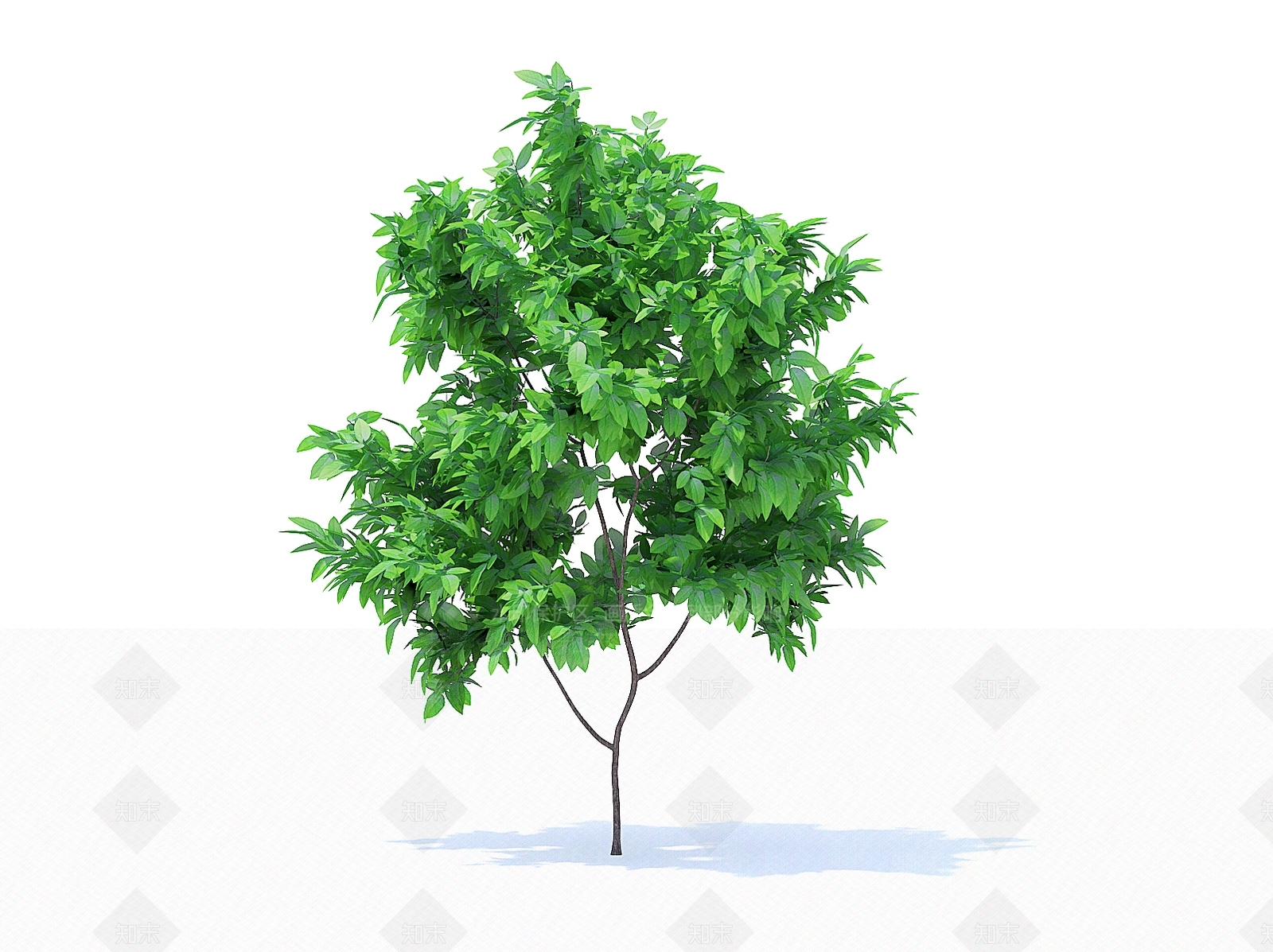乔木3D模型下载【ID:1154473747】