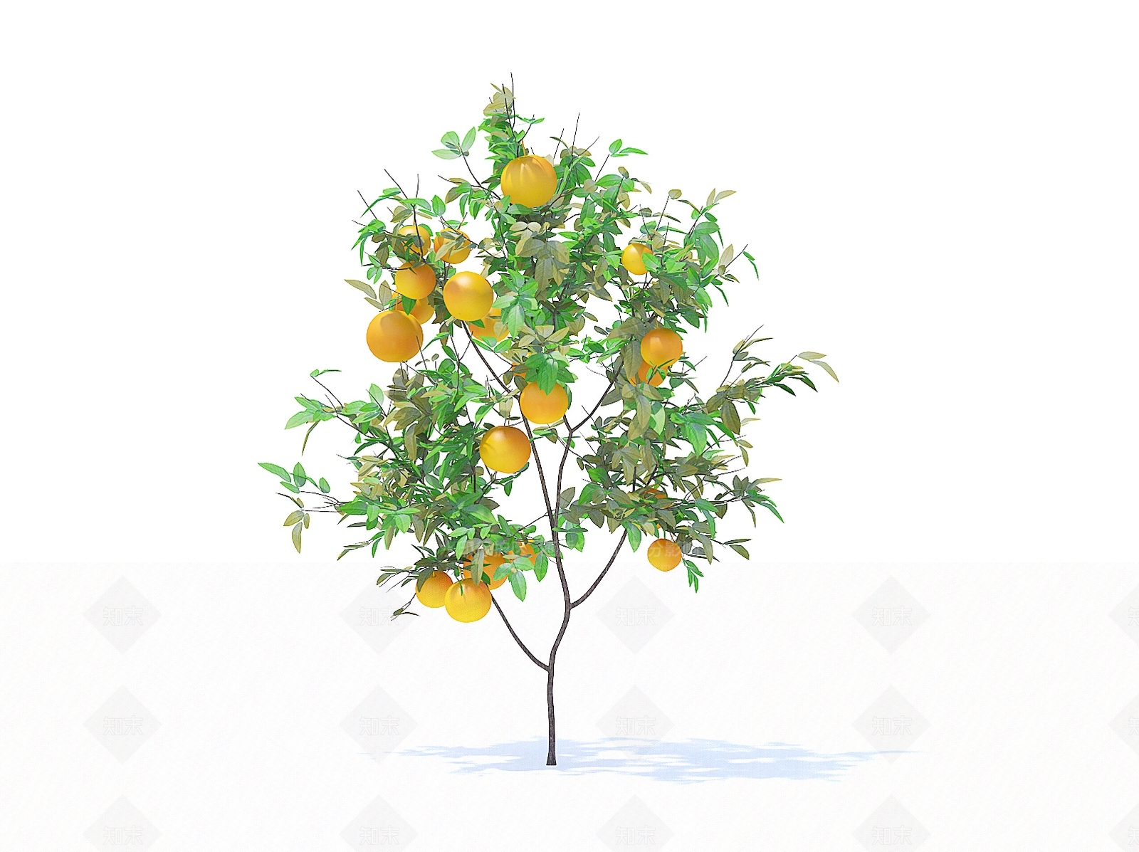 乔木3D模型下载【ID:1154473977】
