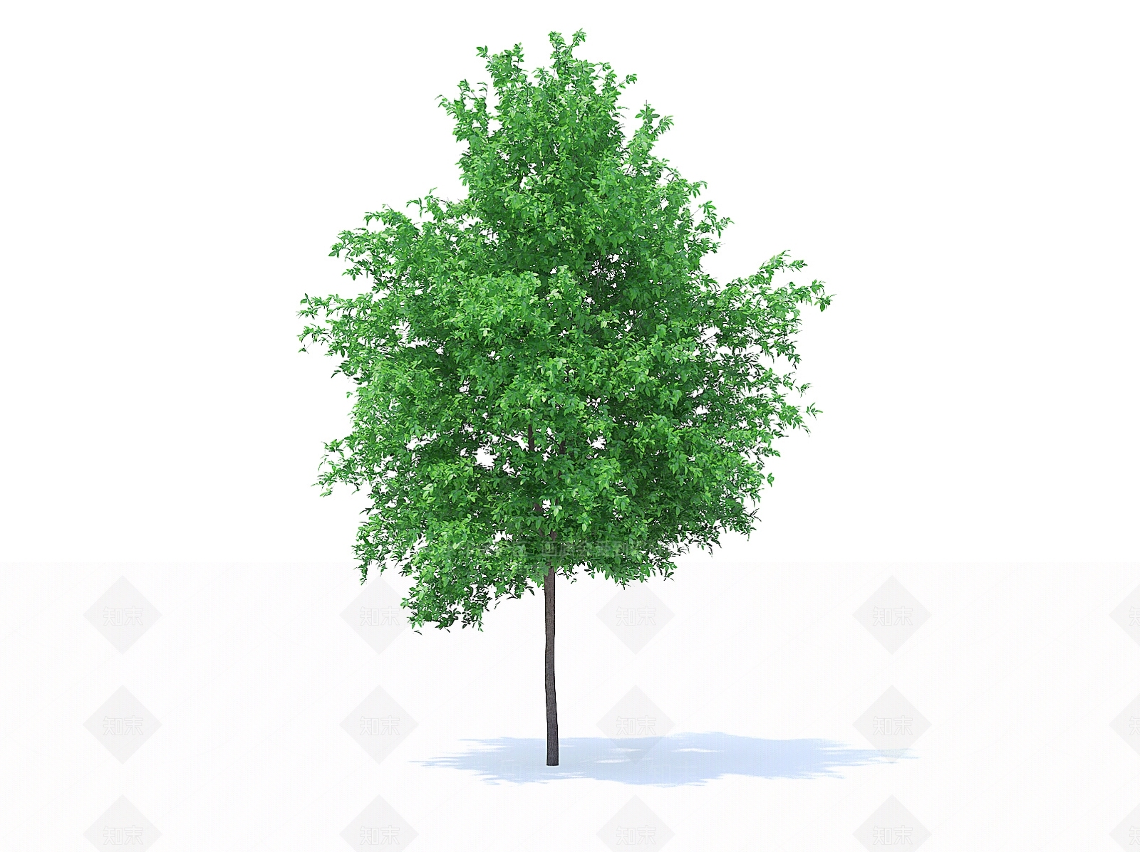 乔木3D模型下载【ID:1154474273】