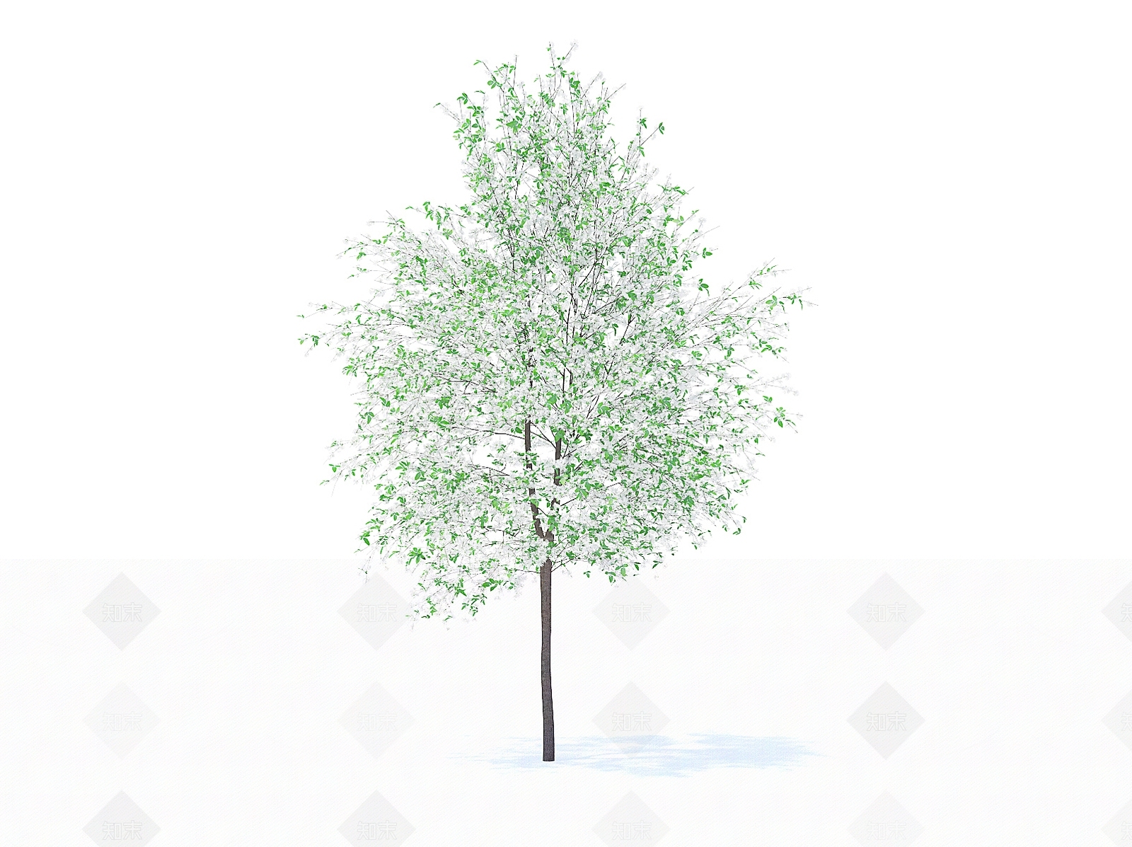 乔木3D模型下载【ID:1154474306】