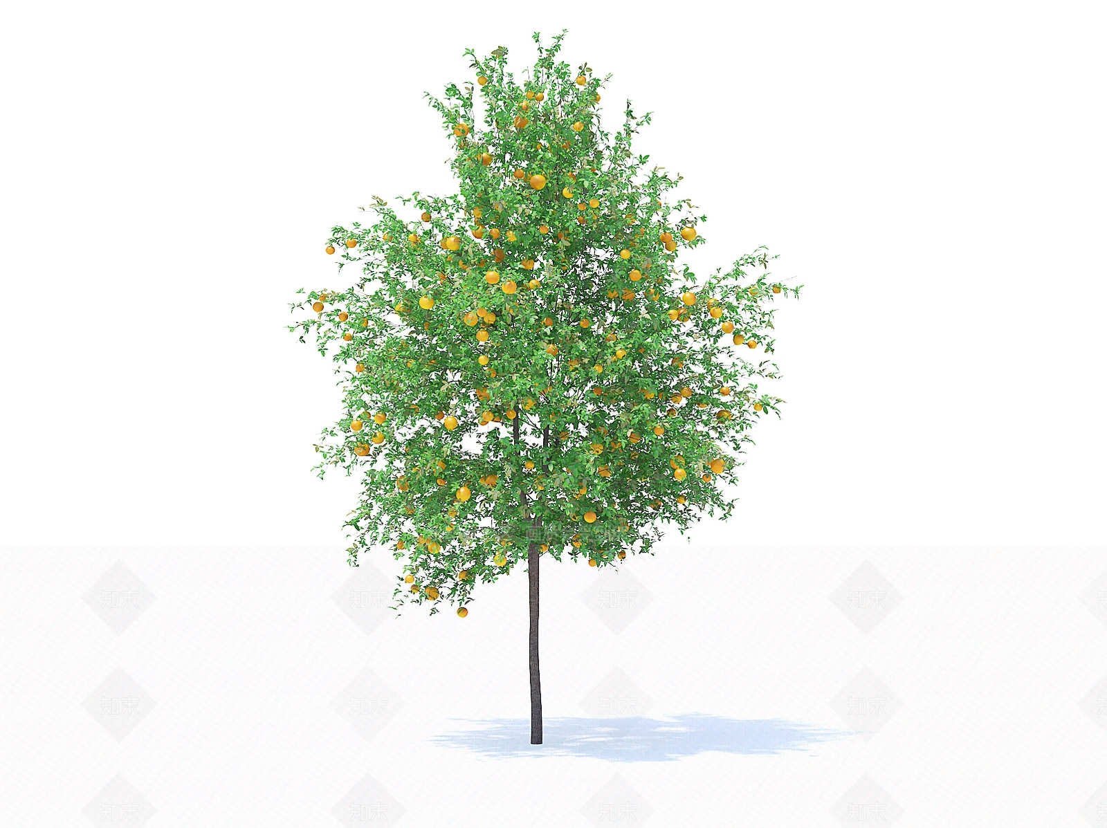 乔木3D模型下载【ID:1154474498】