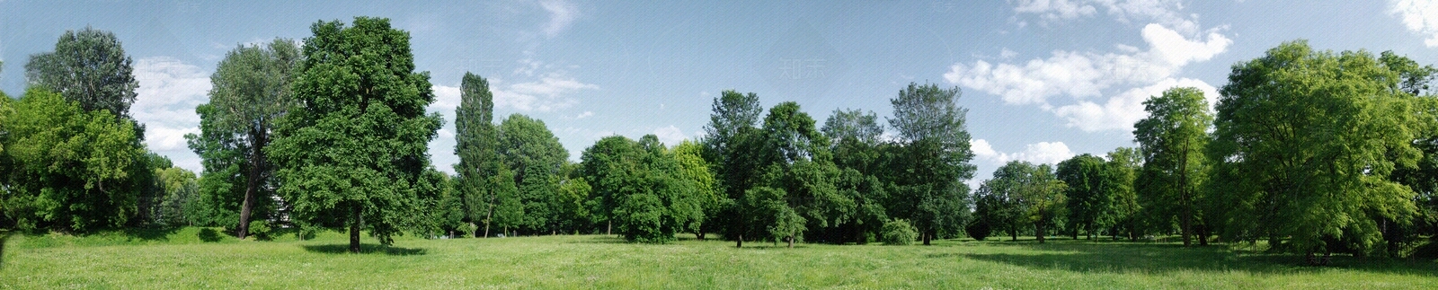 自然树林风景贴图下载【ID:1154487247】