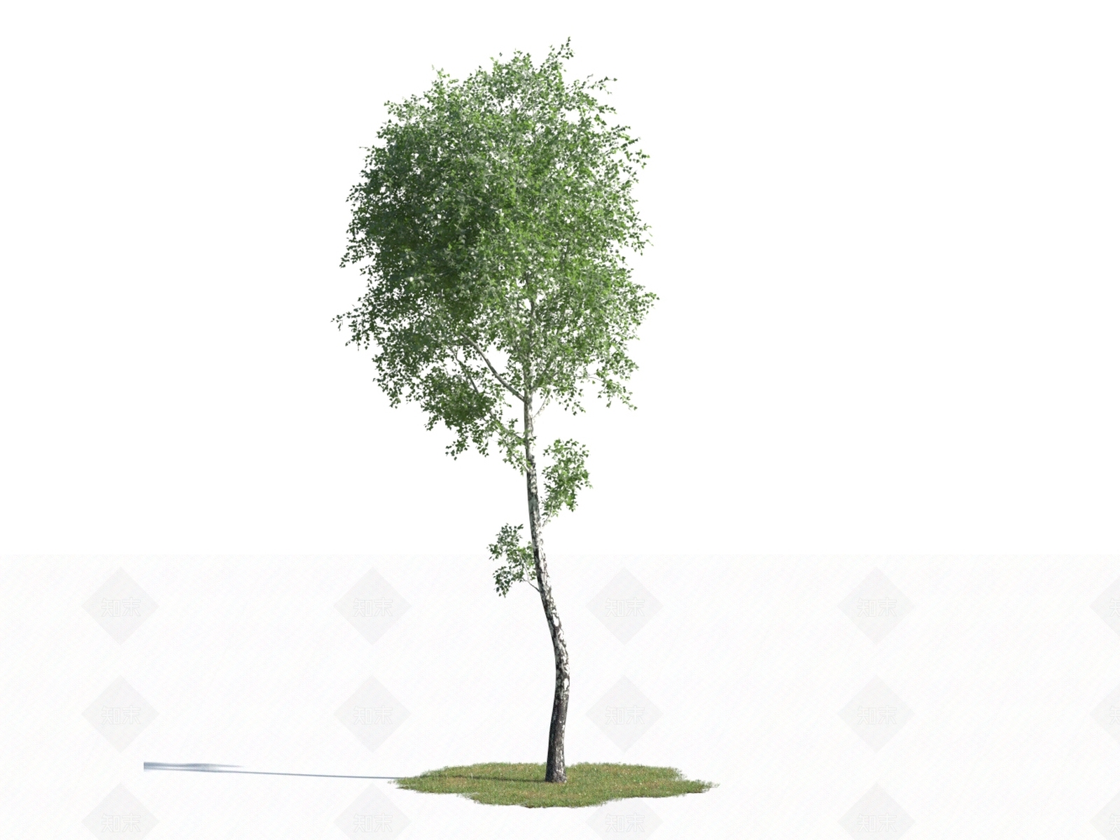 乔木3D模型下载【ID:1154514570】