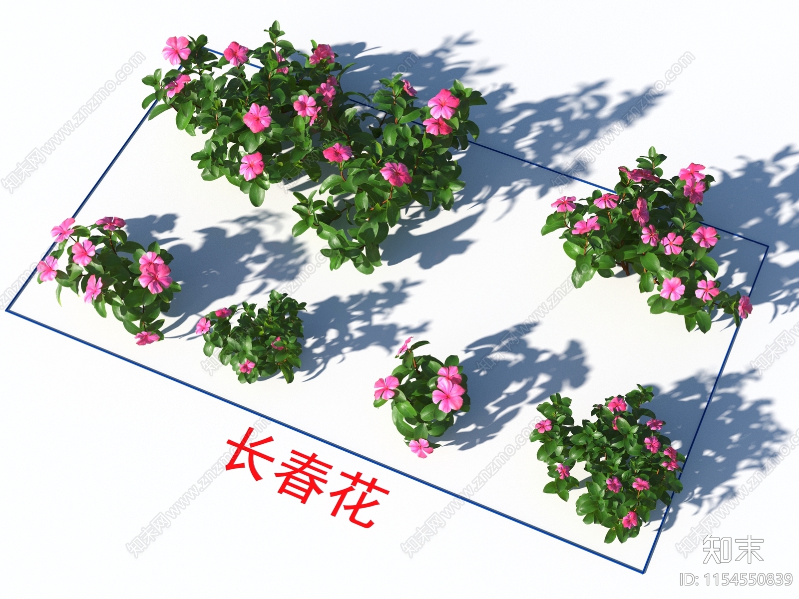 长春花3D模型下载【ID:1154550839】