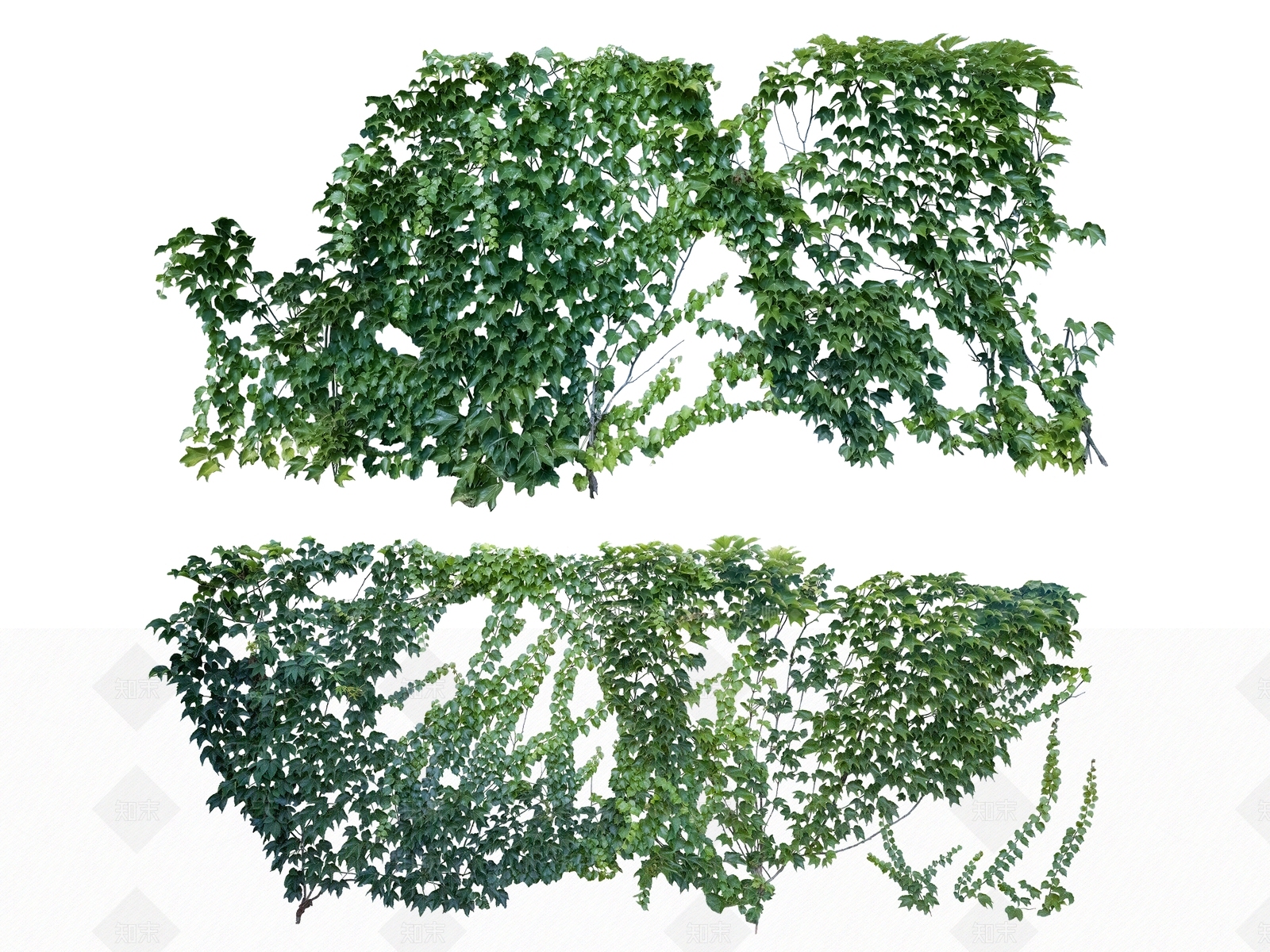 2D绿色植物SU模型下载【ID:1154553026】