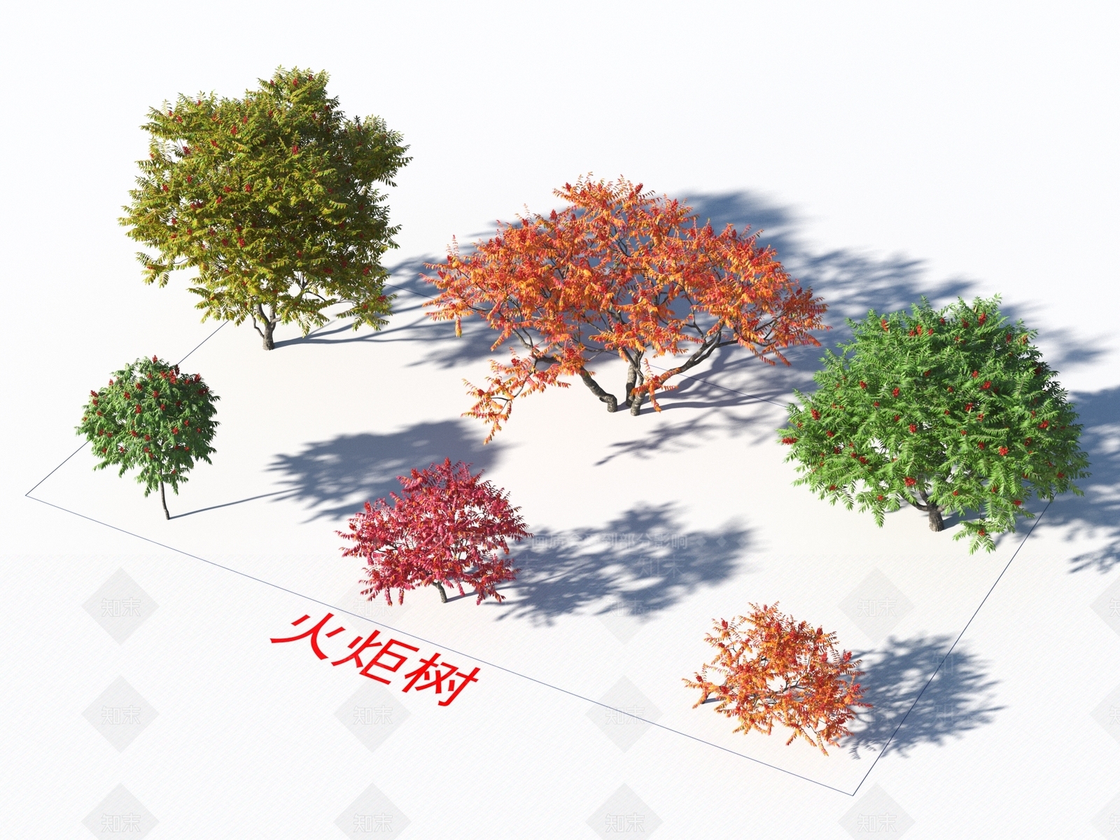 火炬树3D模型下载【ID:1154564343】