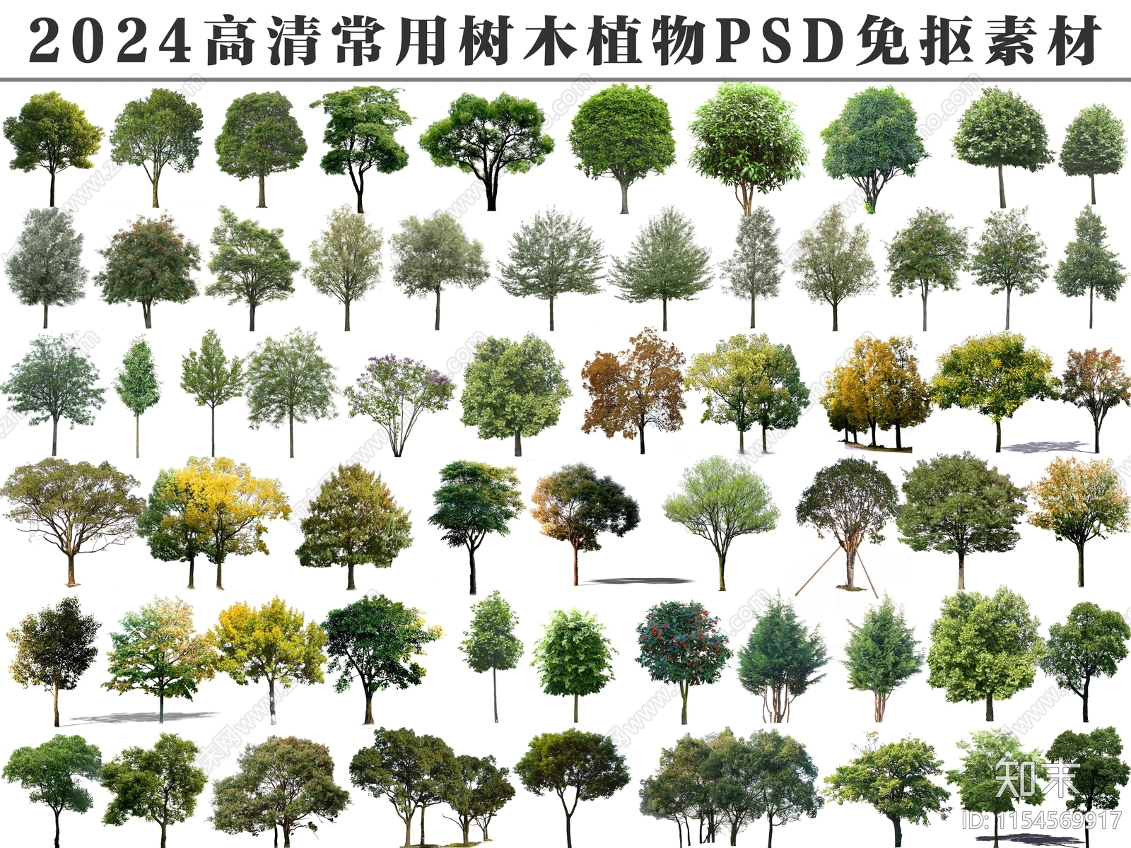 乔木设计素材精品下载_知末网