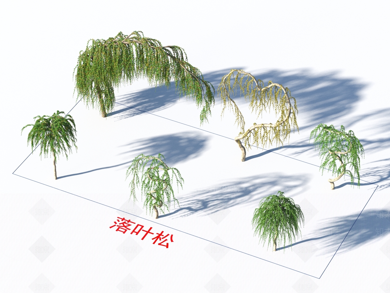 落叶松3D模型下载【ID:1154571300】