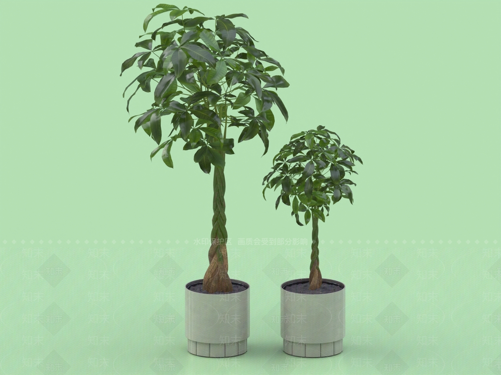 发财树3D模型下载【ID:1154589029】