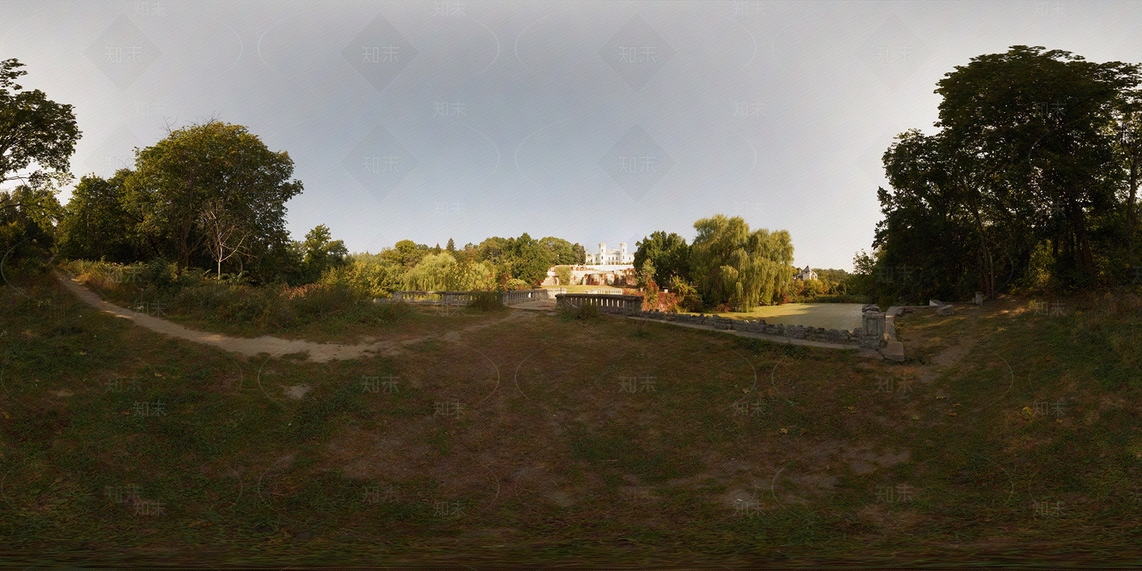 hdr户外林中植物贴图下载【ID:1154595029】