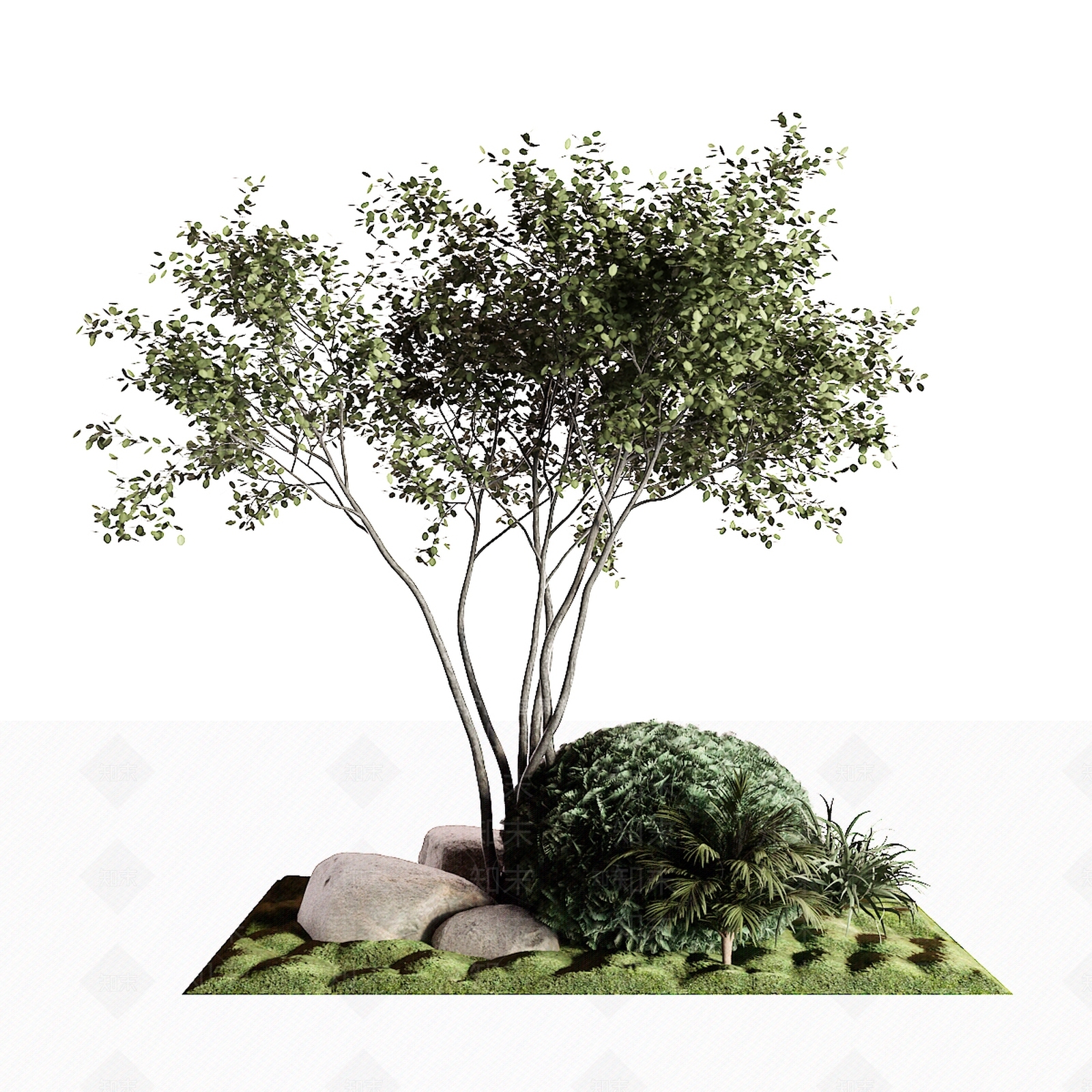 乔木3D模型下载【ID:1154610388】