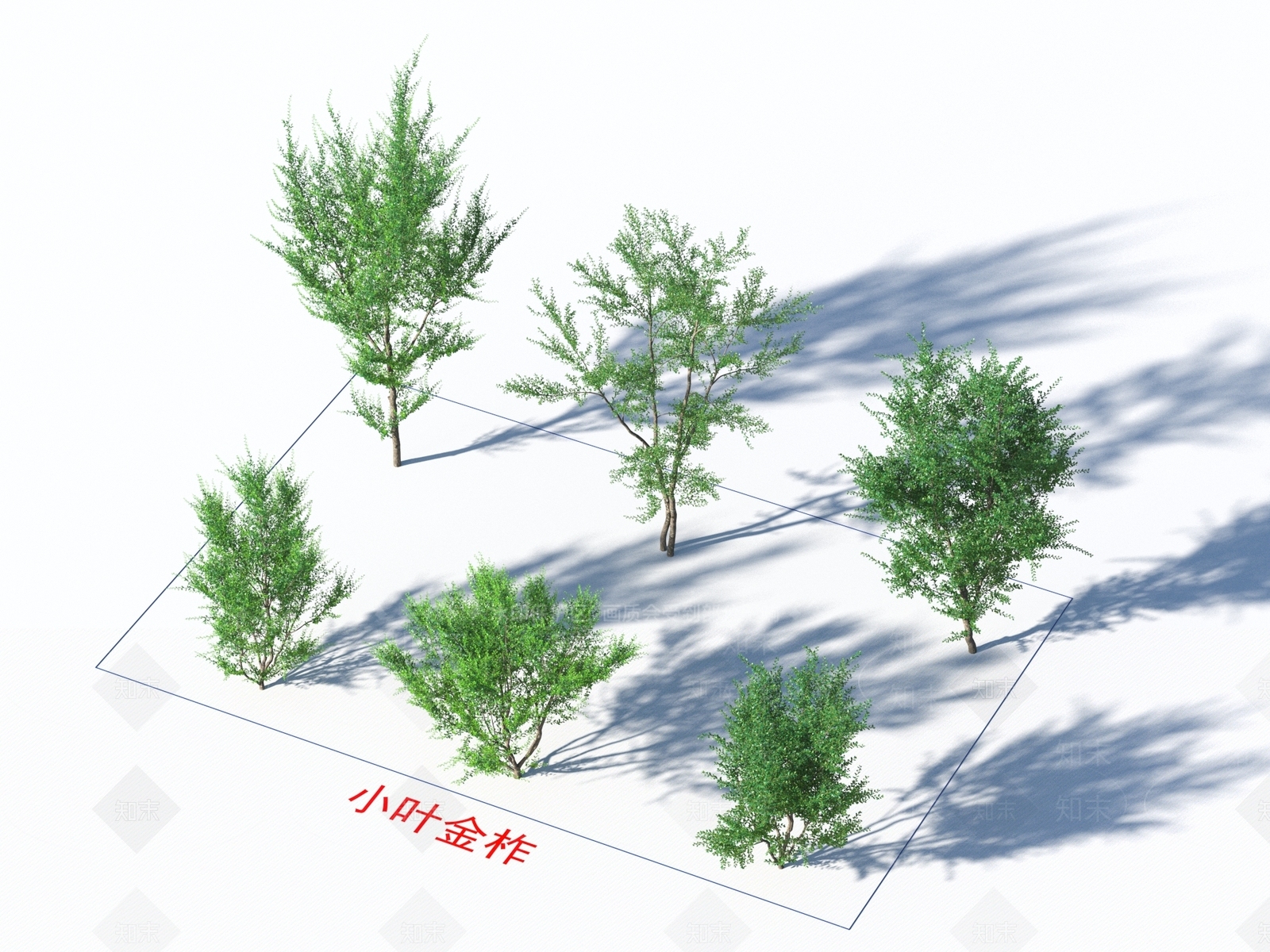乔木3D模型下载【ID:1154611900】