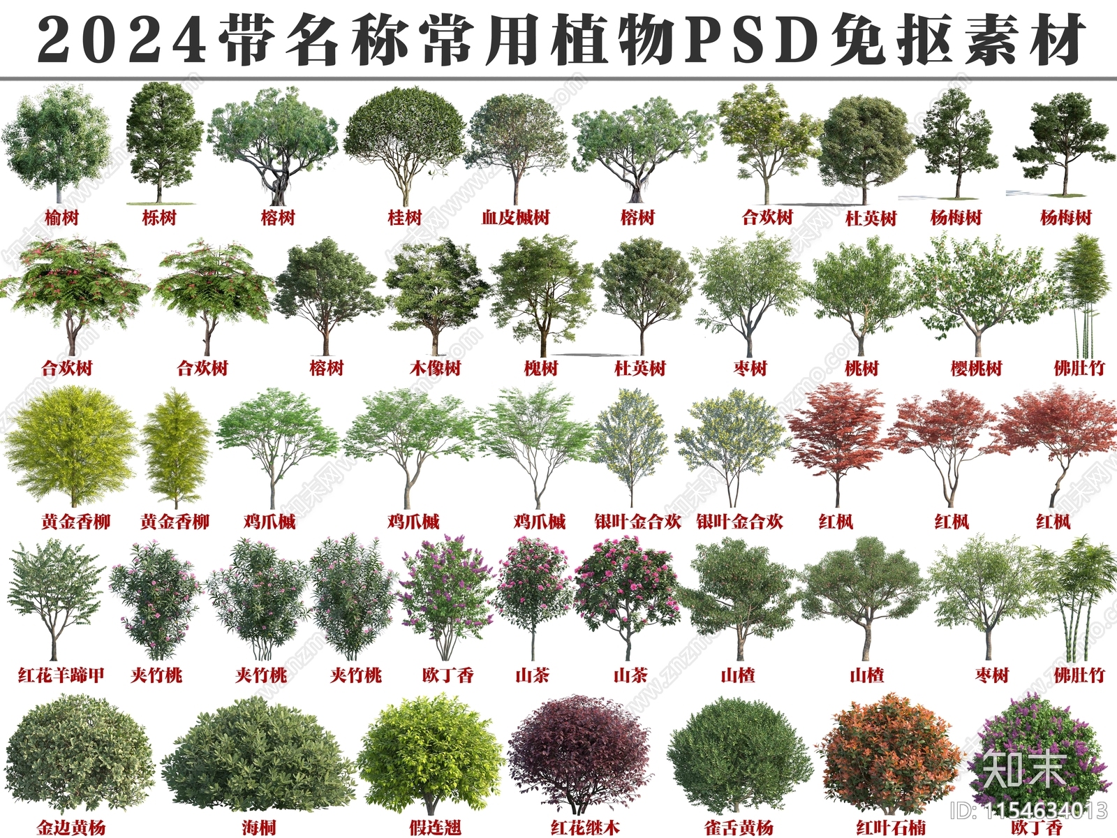 乔木设计素材精品下载_知末网