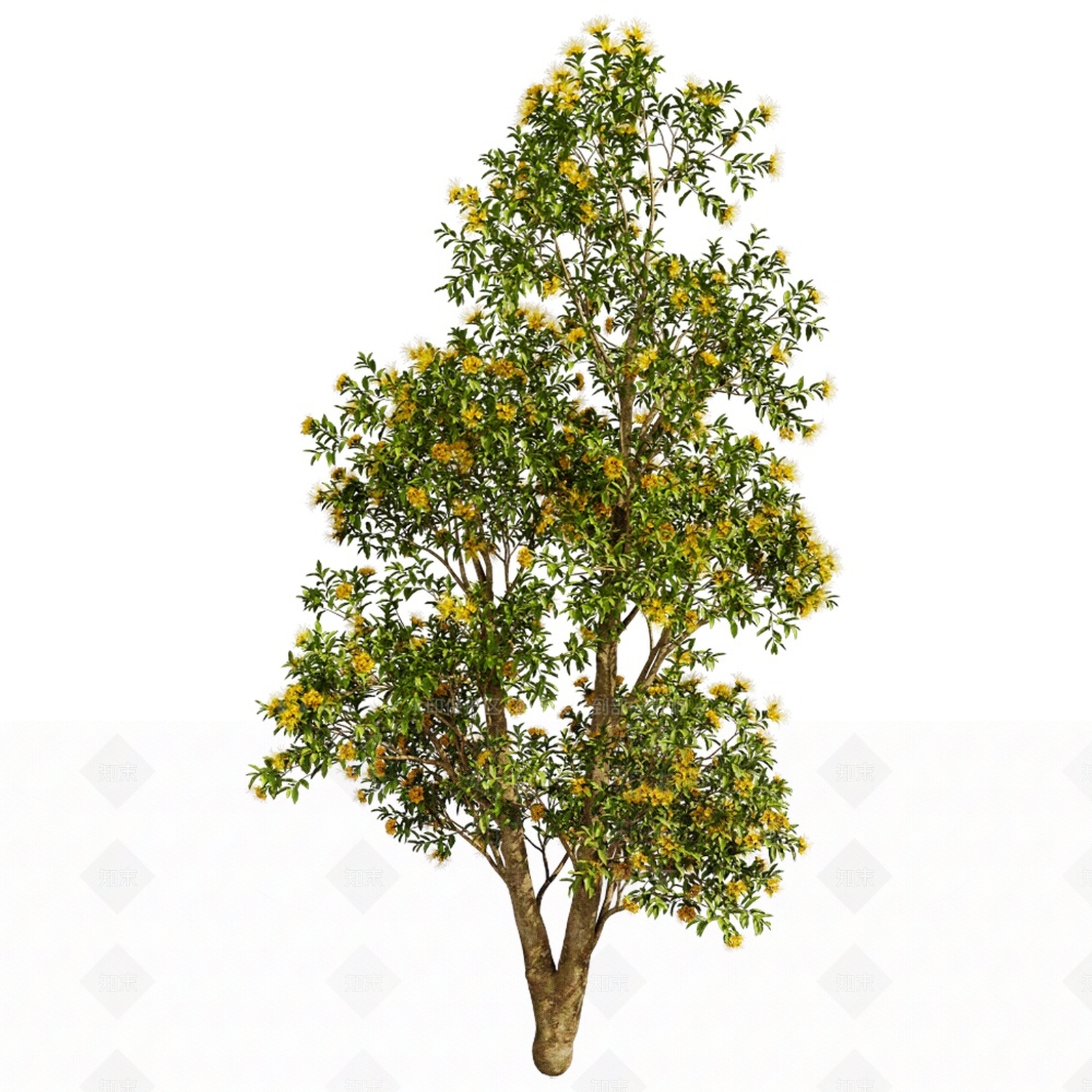 乔木3D模型下载【ID:1154646870】
