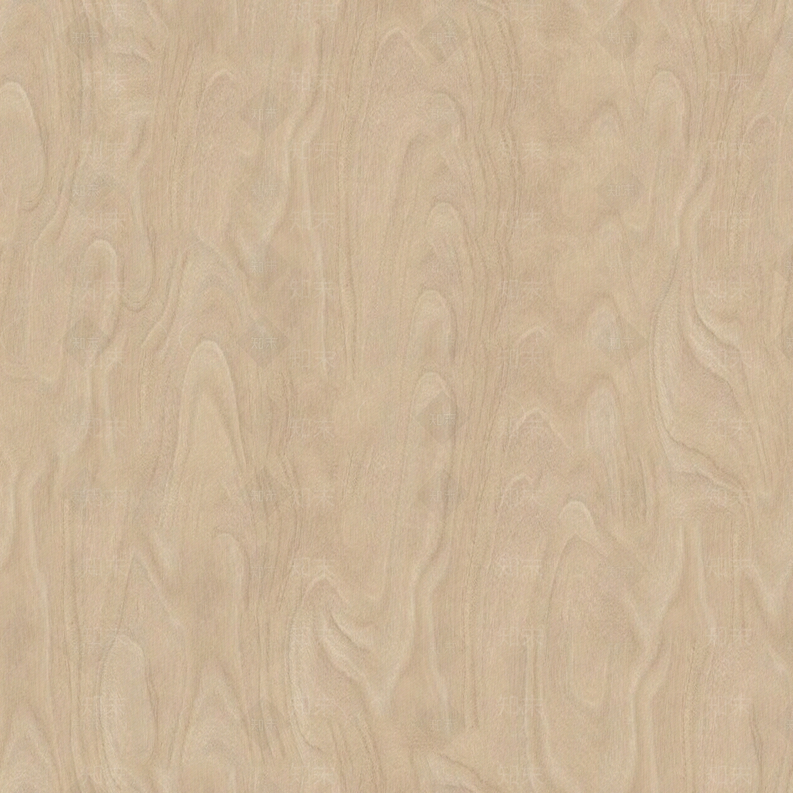 无缝黄色海洋板桦木多层板木纹贴图下载【ID:1154667060】