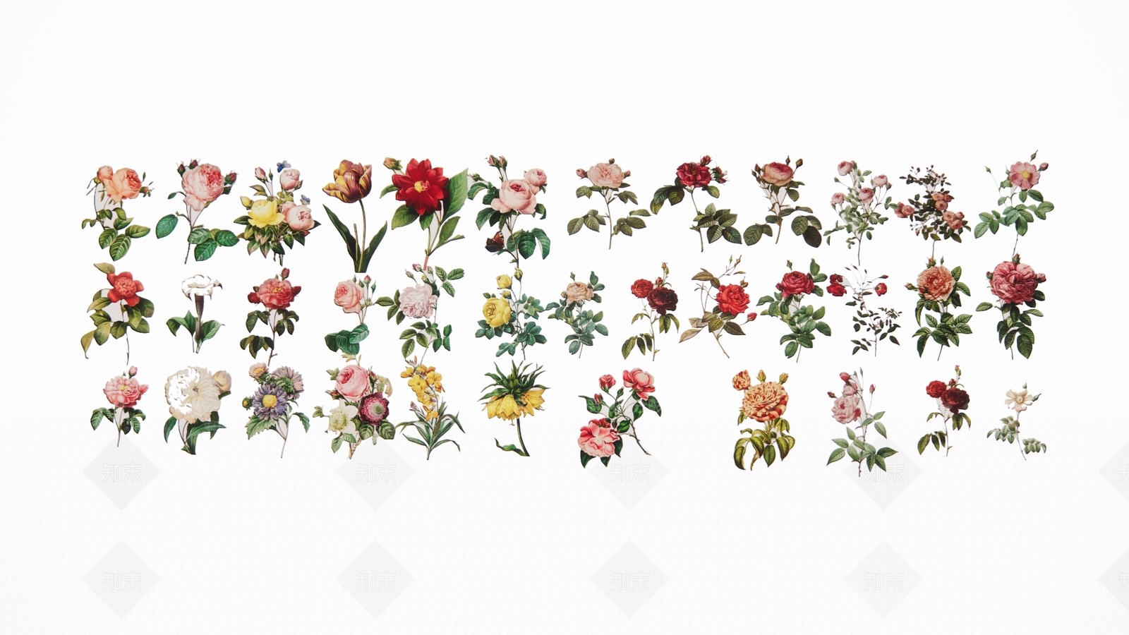 2D现代植物花墙饰3D模型下载【ID:1154696378】