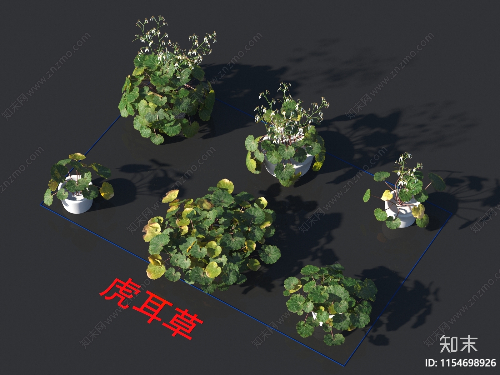 虎耳草3D模型下载【ID:1154698926】