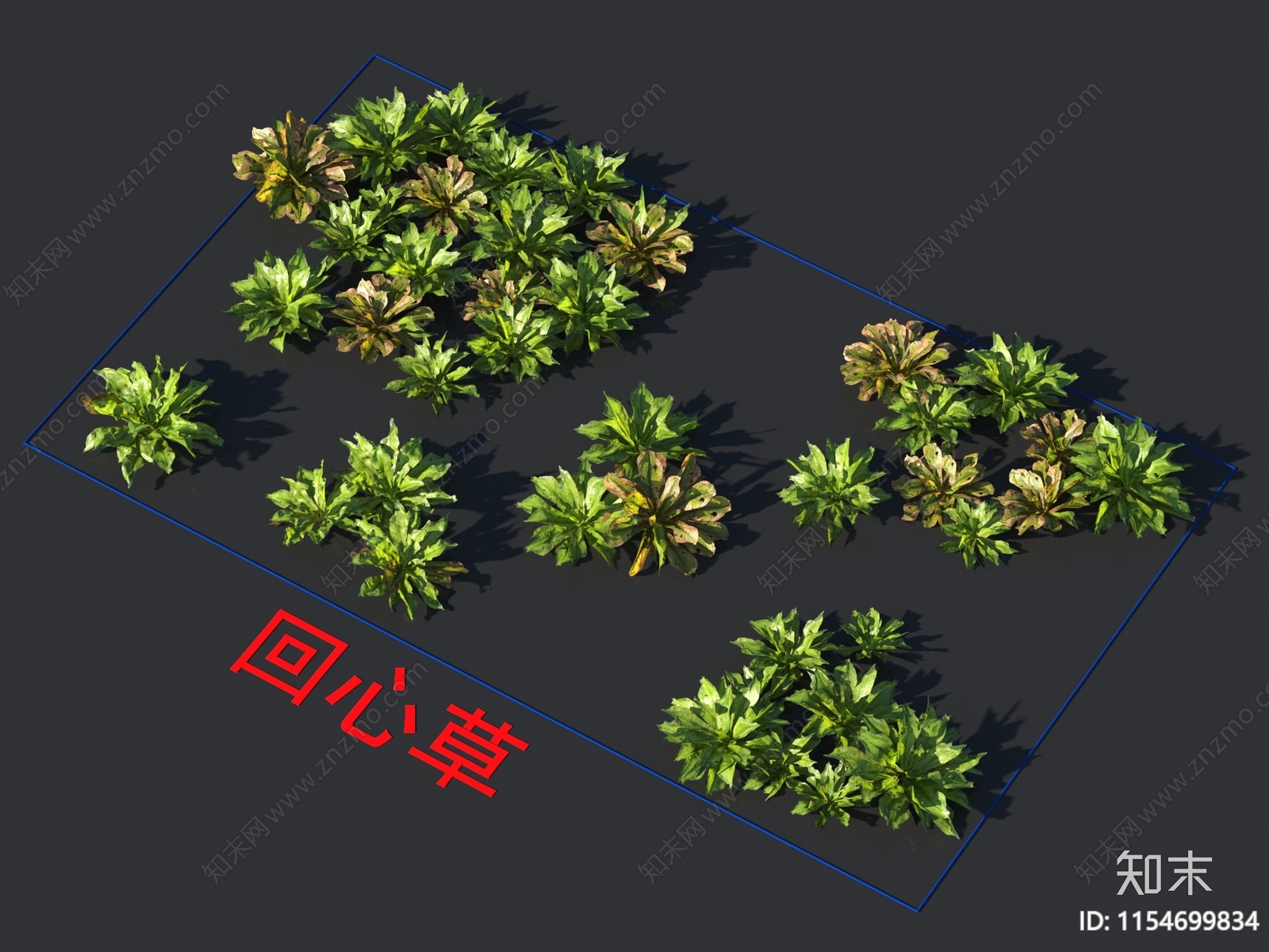 回心草3D模型下载【ID:1154699834】