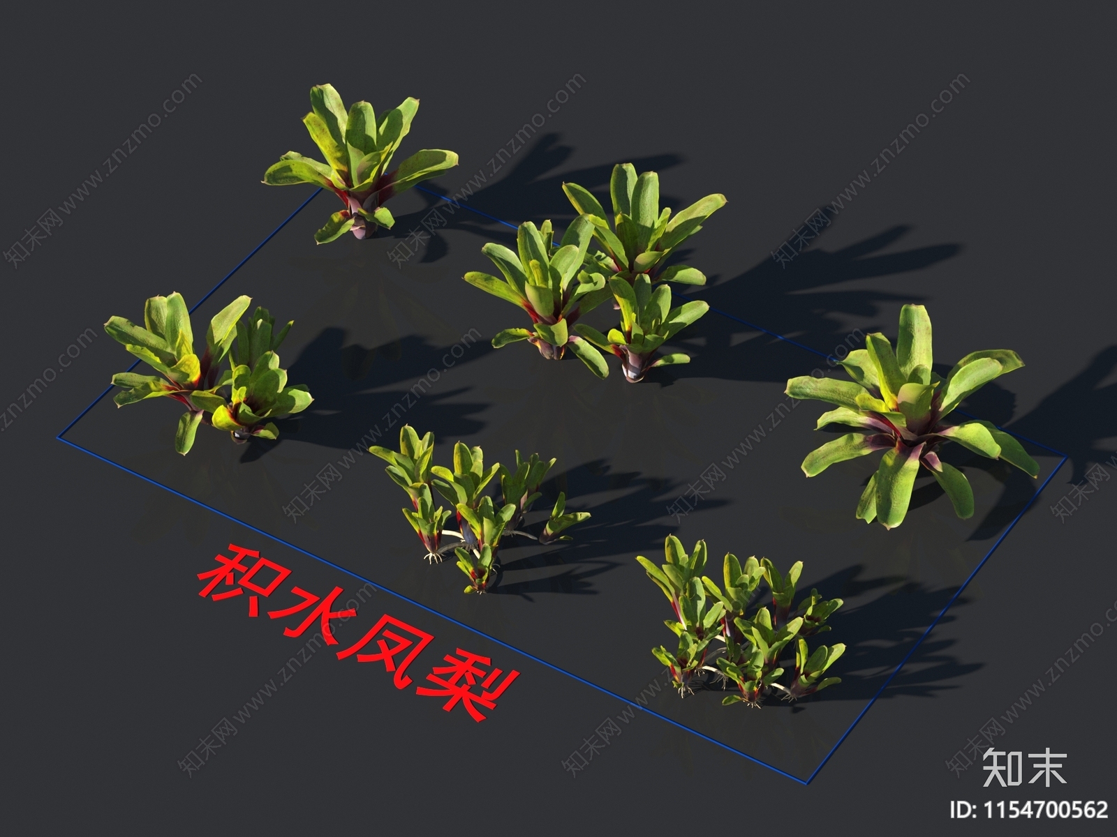 积水凤梨3D模型下载【ID:1154700562】