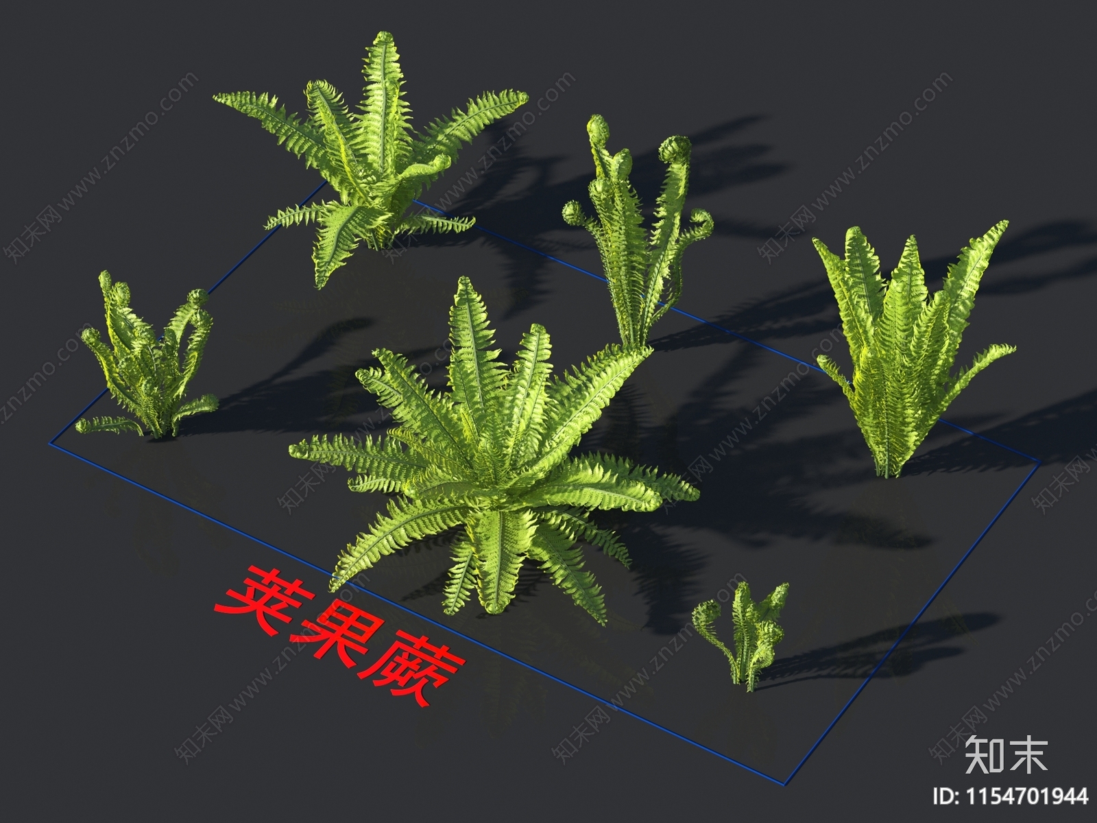 荚果蕨3D模型下载【ID:1154701944】