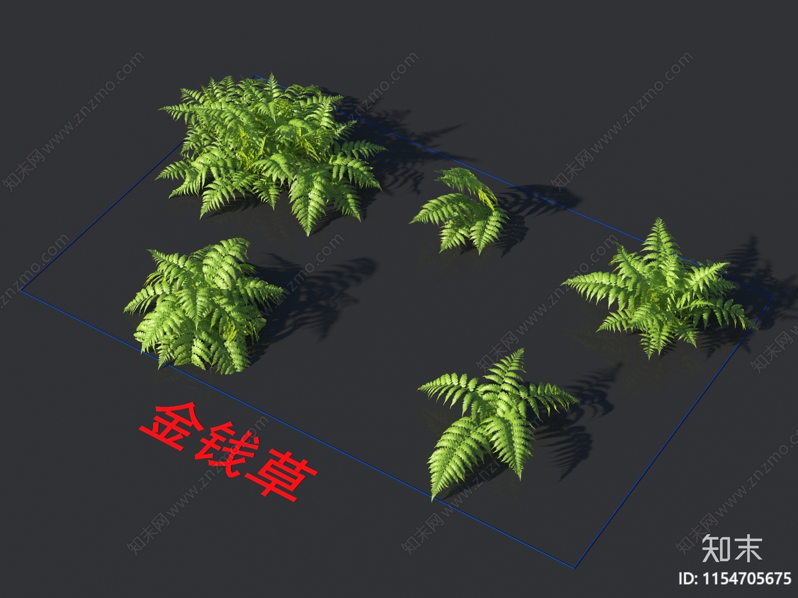 金钱草3D模型下载【ID:1154705675】