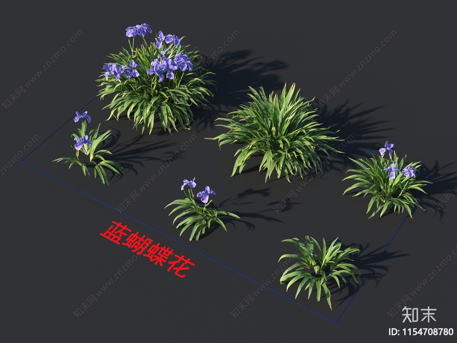 蓝蝴蝶花3D模型下载【ID:1154708780】